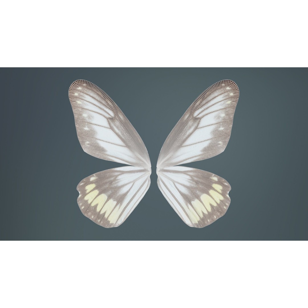 Common Rose Cethosia Biblis 3D Model – Low Poly Insect Asset, FBX, Blender - View 11