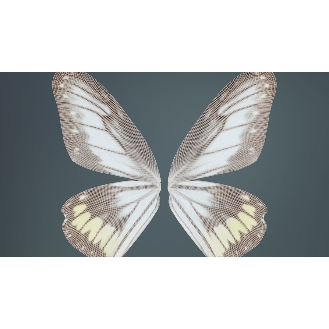 Common Rose Cethosia Biblis 3D Model – Low Poly Insect Asset, FBX, Blender - View 12