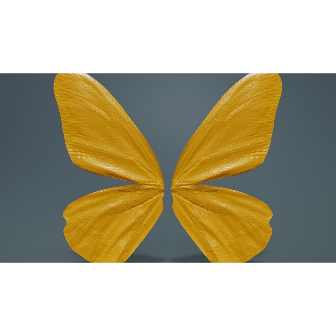 Common Rose Cethosia Biblis 3D Model – Low Poly Insect Asset, FBX, Blender - View 15