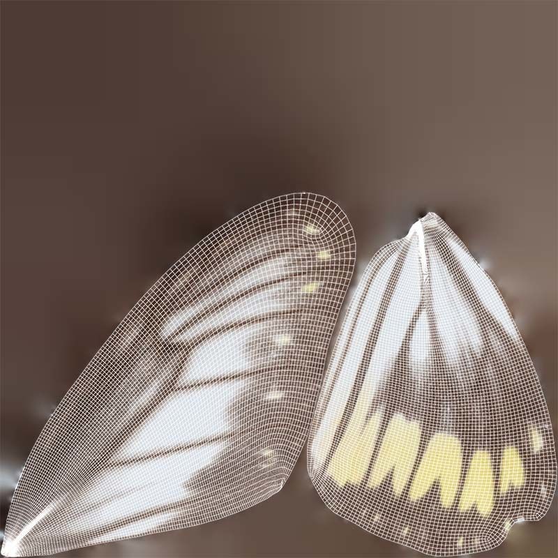 Common Rose Cethosia Biblis 3D Model – Low Poly Insect Asset, FBX, Blender - View 16