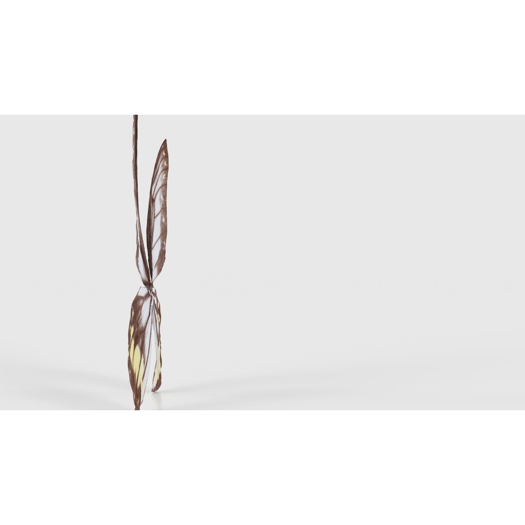 Common Rose Cethosia Biblis 3D Model – Low Poly Insect Asset, FBX, Blender - View 20