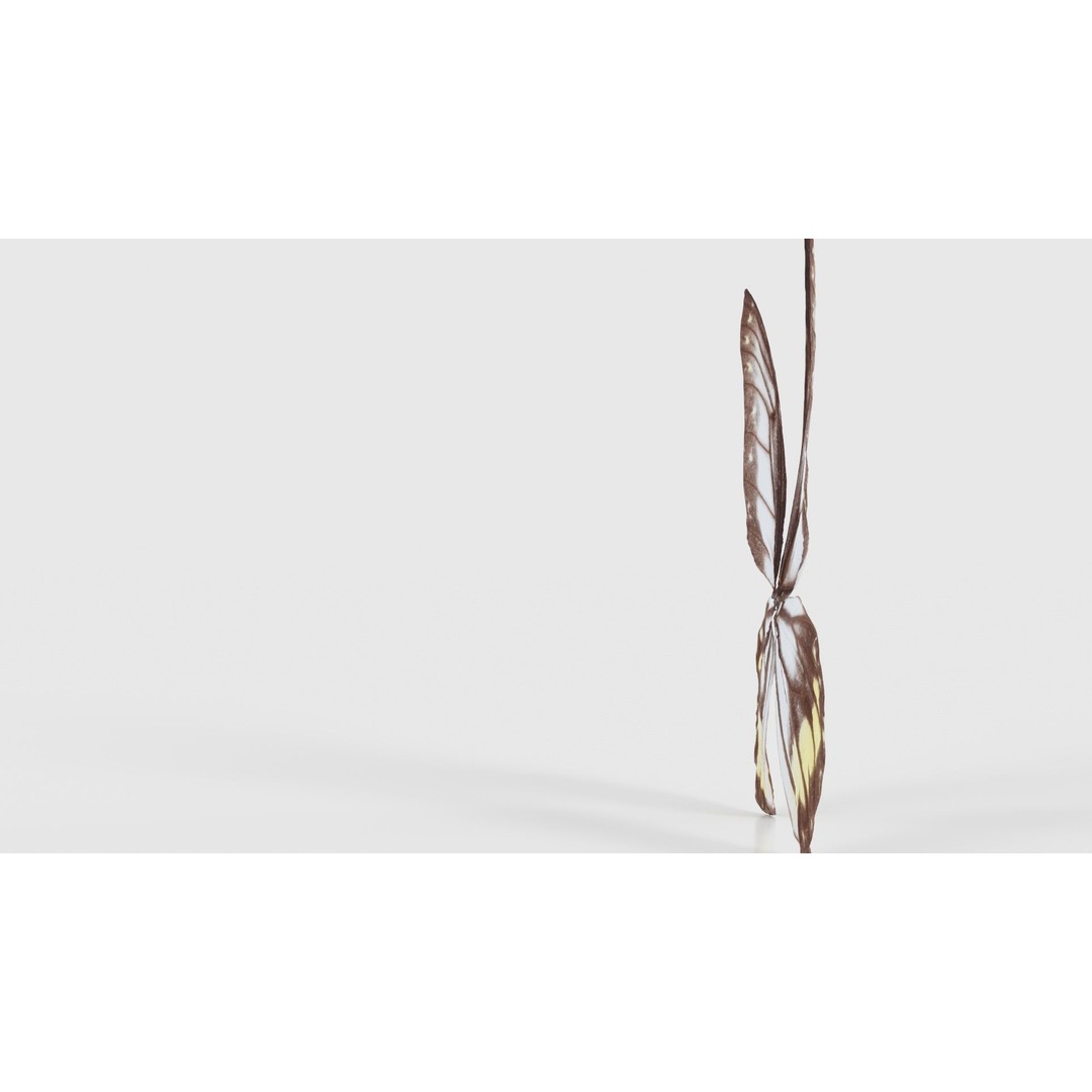 Common Rose Cethosia Biblis 3D Model – Low Poly Insect Asset, FBX, Blender - View 26