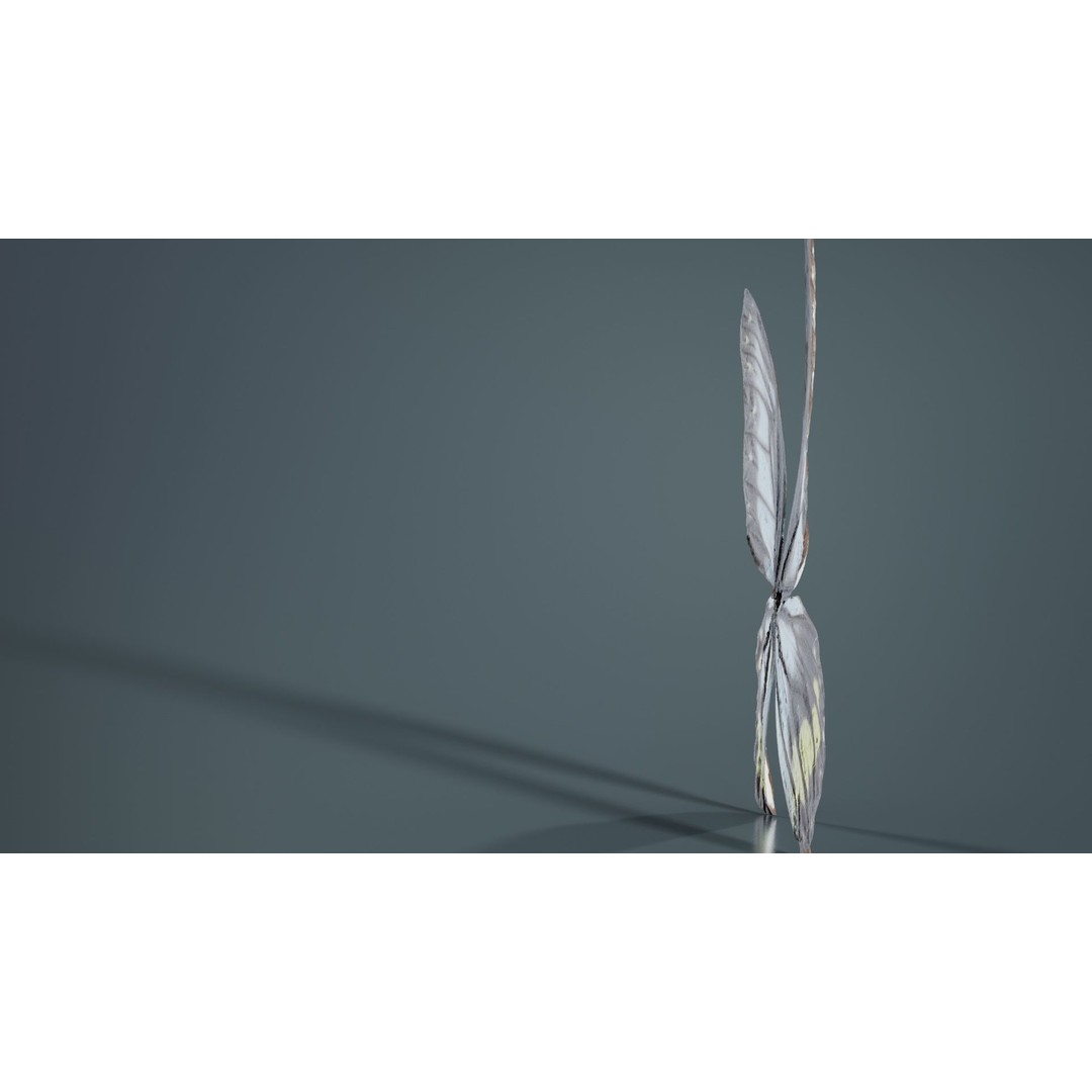 Common Rose Cethosia Biblis 3D Model – Low Poly Insect Asset, FBX, Blender - View 6