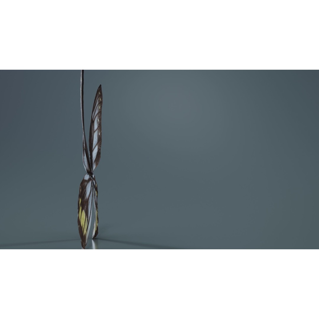 Common Rose Cethosia Biblis 3D Model – Low Poly Insect Asset, FBX, Blender - View 7