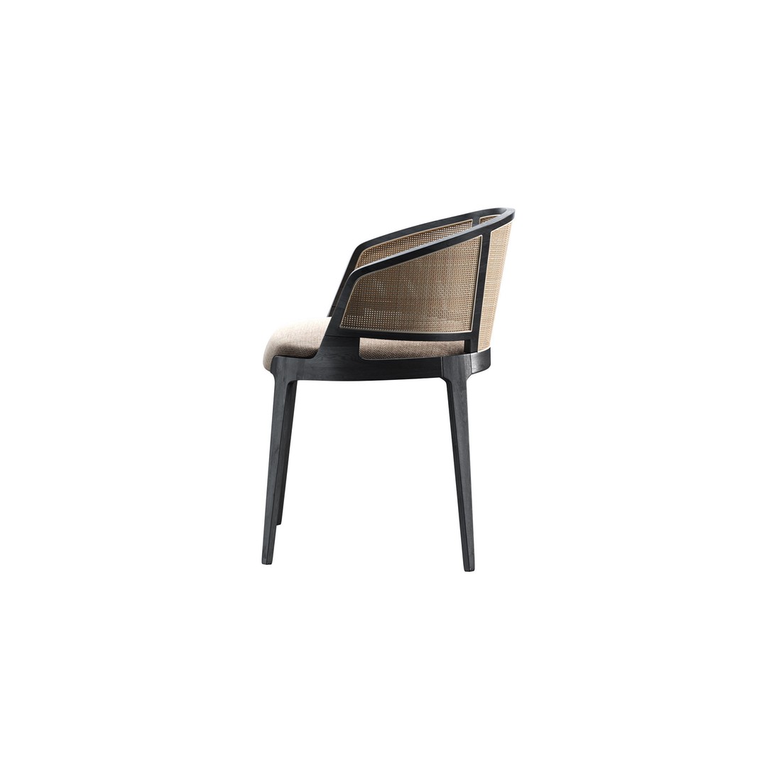 Velis Cane 3D Model – Modern Chair with Textures and UV Mapping - View 3