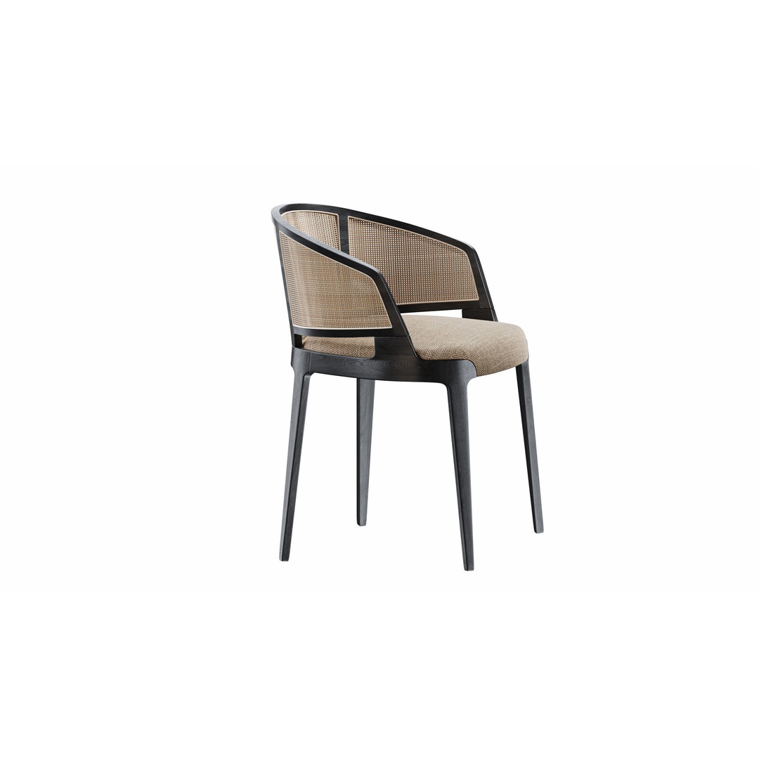 Velis Cane 3D Model – Modern Chair with Textures and UV Mapping - View 4