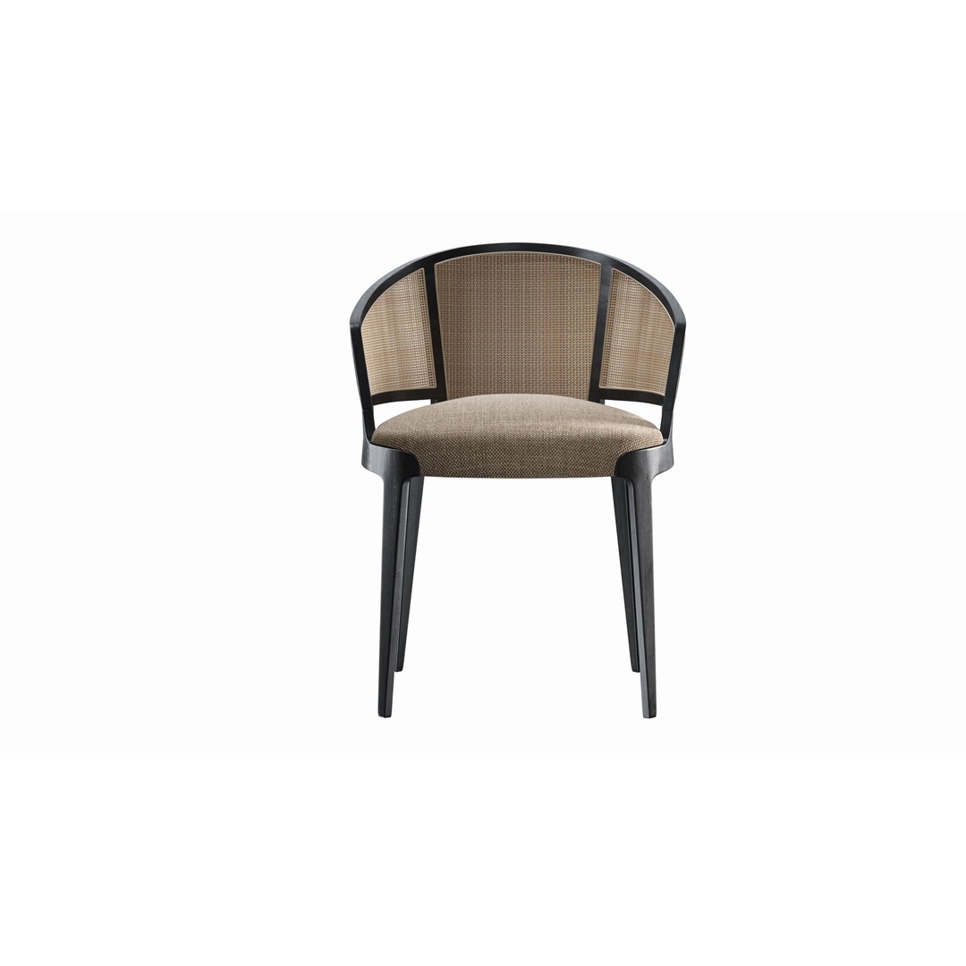 Velis Cane 3D Model – Modern Chair with Textures and UV Mapping - View 5