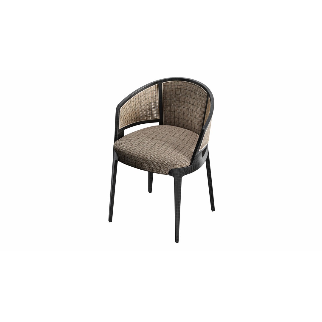 Velis Cane 3D Model – Modern Chair with Textures and UV Mapping - View 7