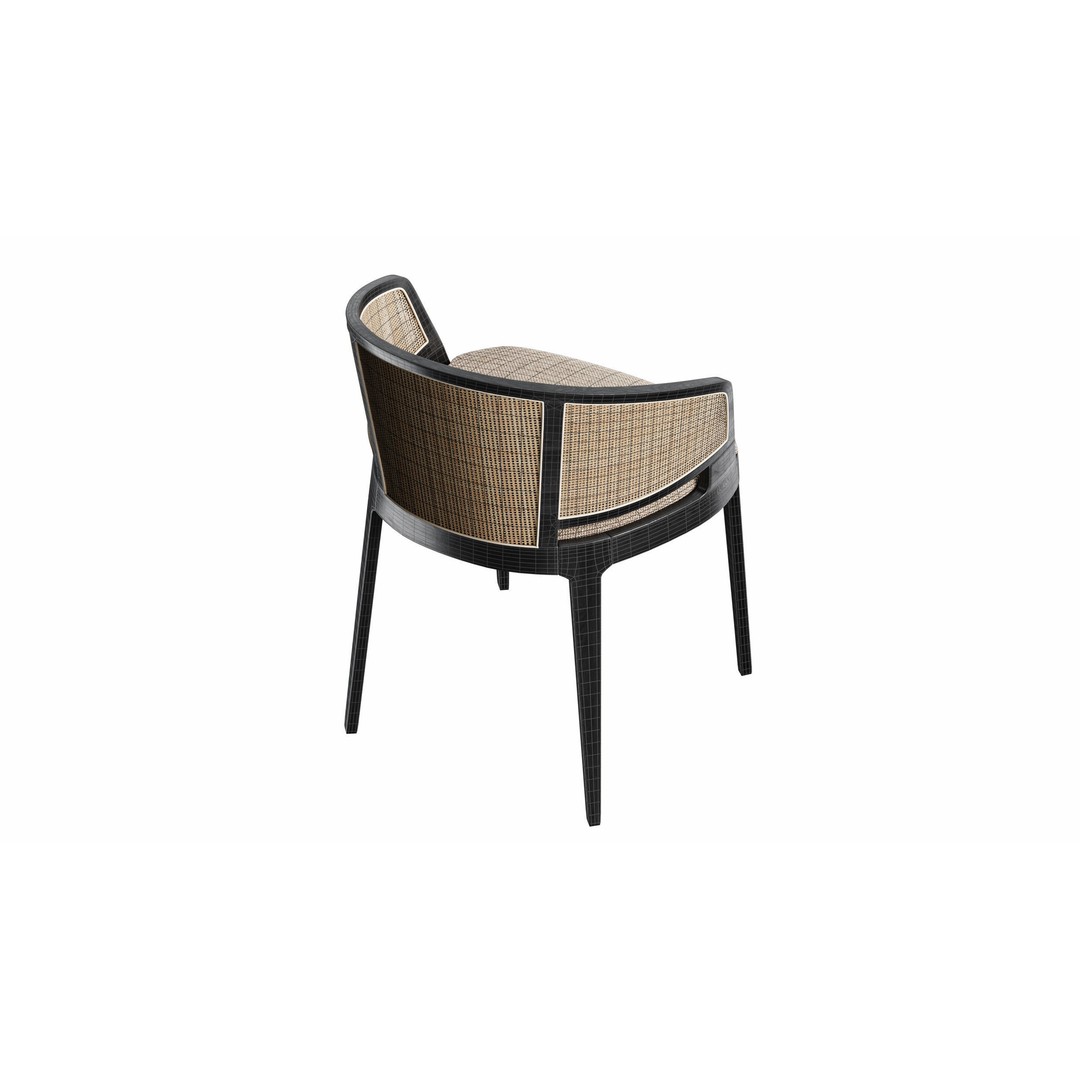 Velis Cane 3D Model – Modern Chair with Textures and UV Mapping - View 9