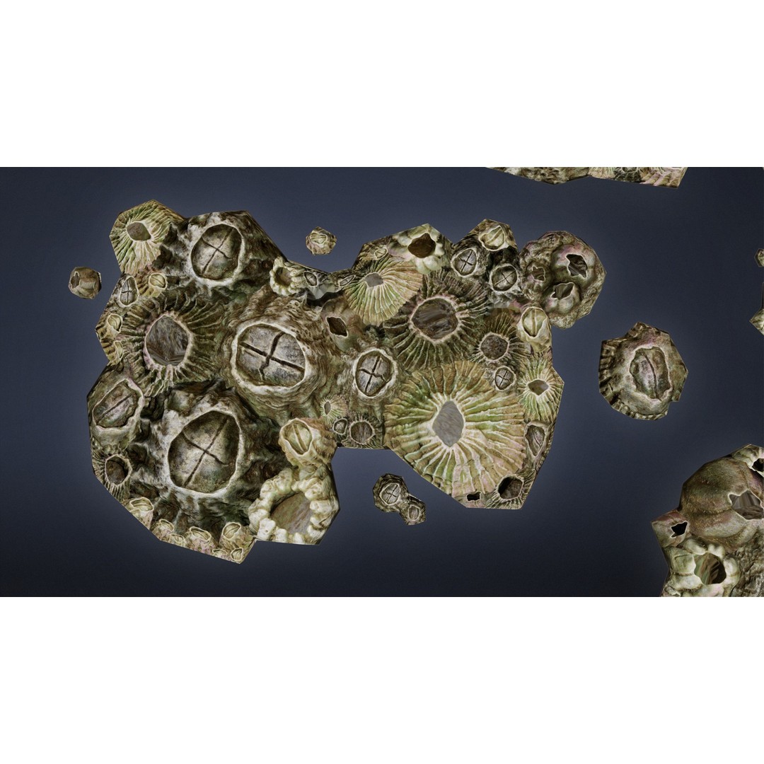 Seaside Docks 3D Model – Low Poly Barnacles with PBR Textures, FBX