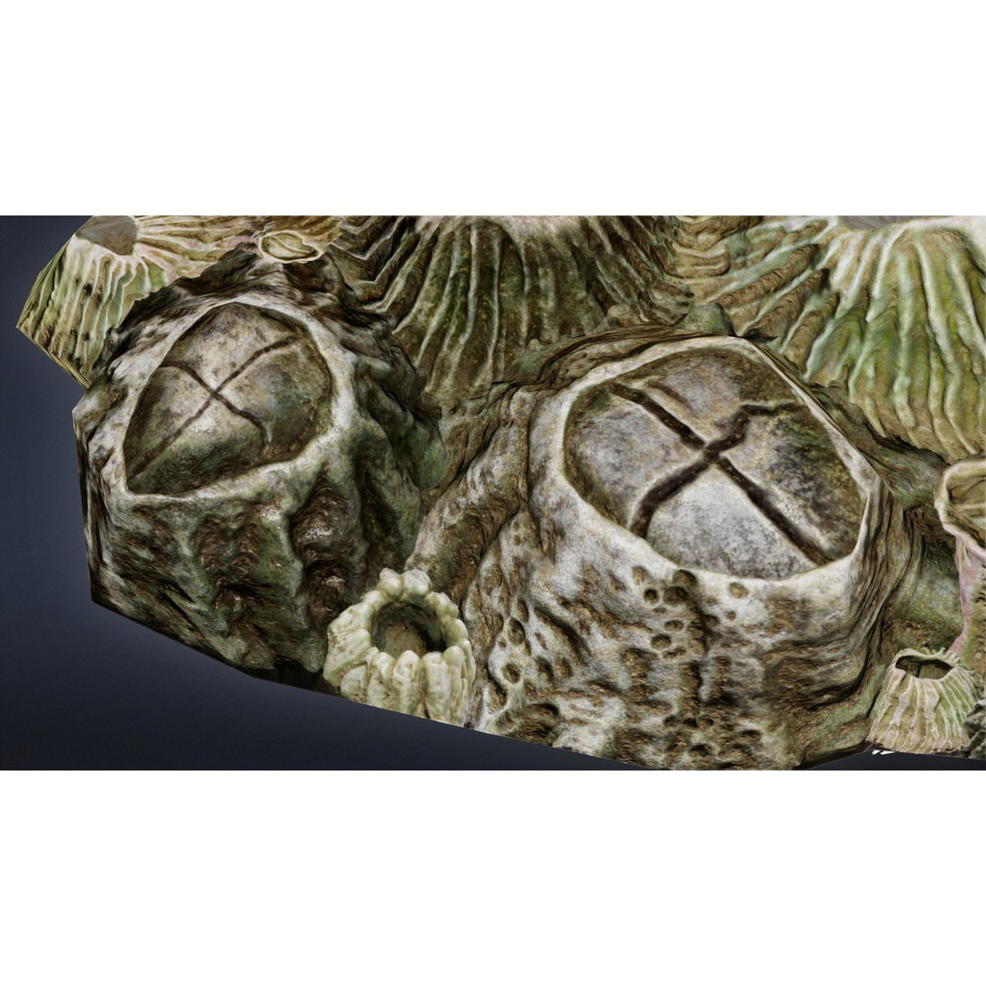 Seaside Docks 3D Model – Low Poly Barnacles with PBR Textures, FBX - View 10