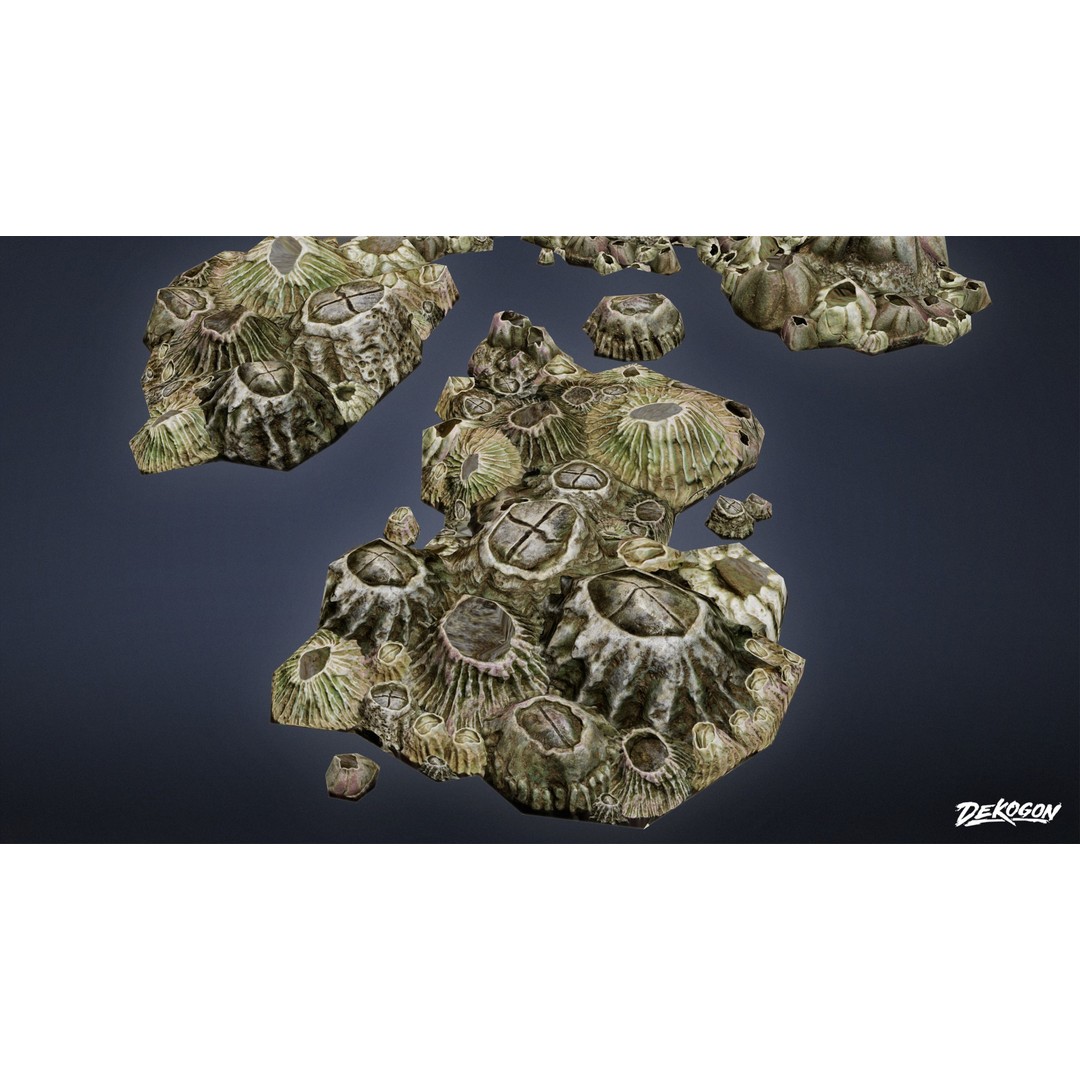Seaside Docks 3D Model – Low Poly Barnacles with PBR Textures, FBX - View 7