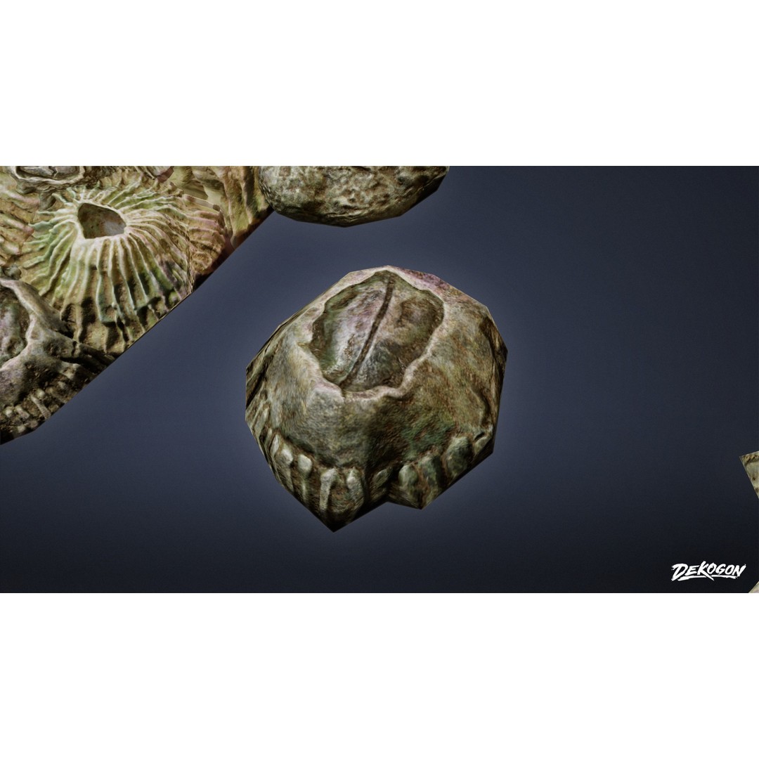 Seaside Docks 3D Model – Low Poly Barnacles with PBR Textures, FBX - View 8