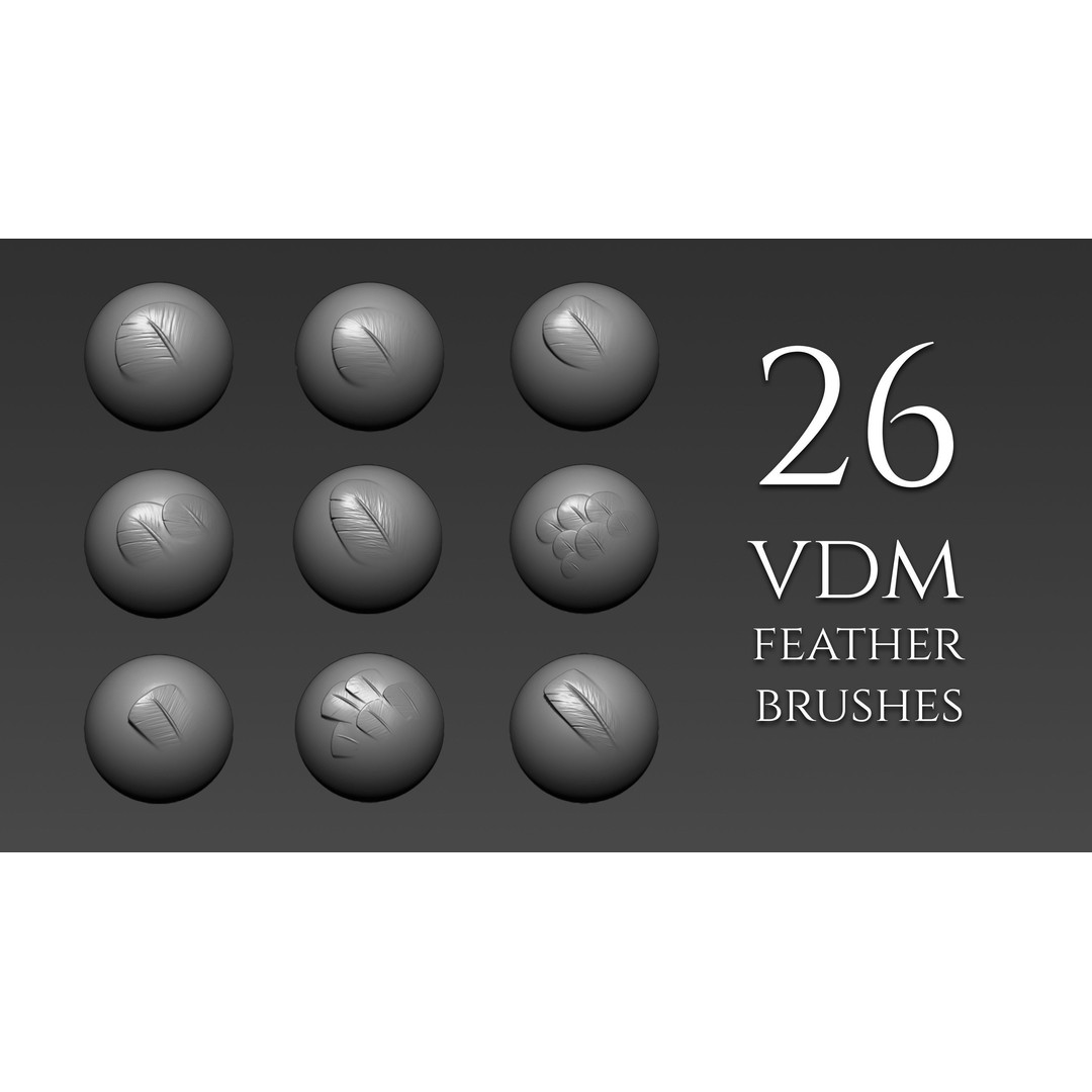 Feather Brushes 3D Model – Custom Zbrush Brushes for Creatures - View 3