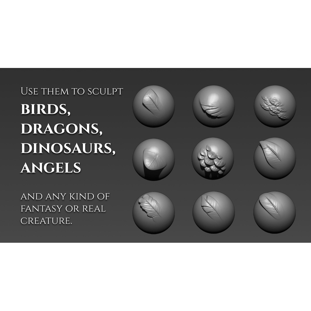 Feather Brushes 3D Model – Custom Zbrush Brushes for Creatures - View 4