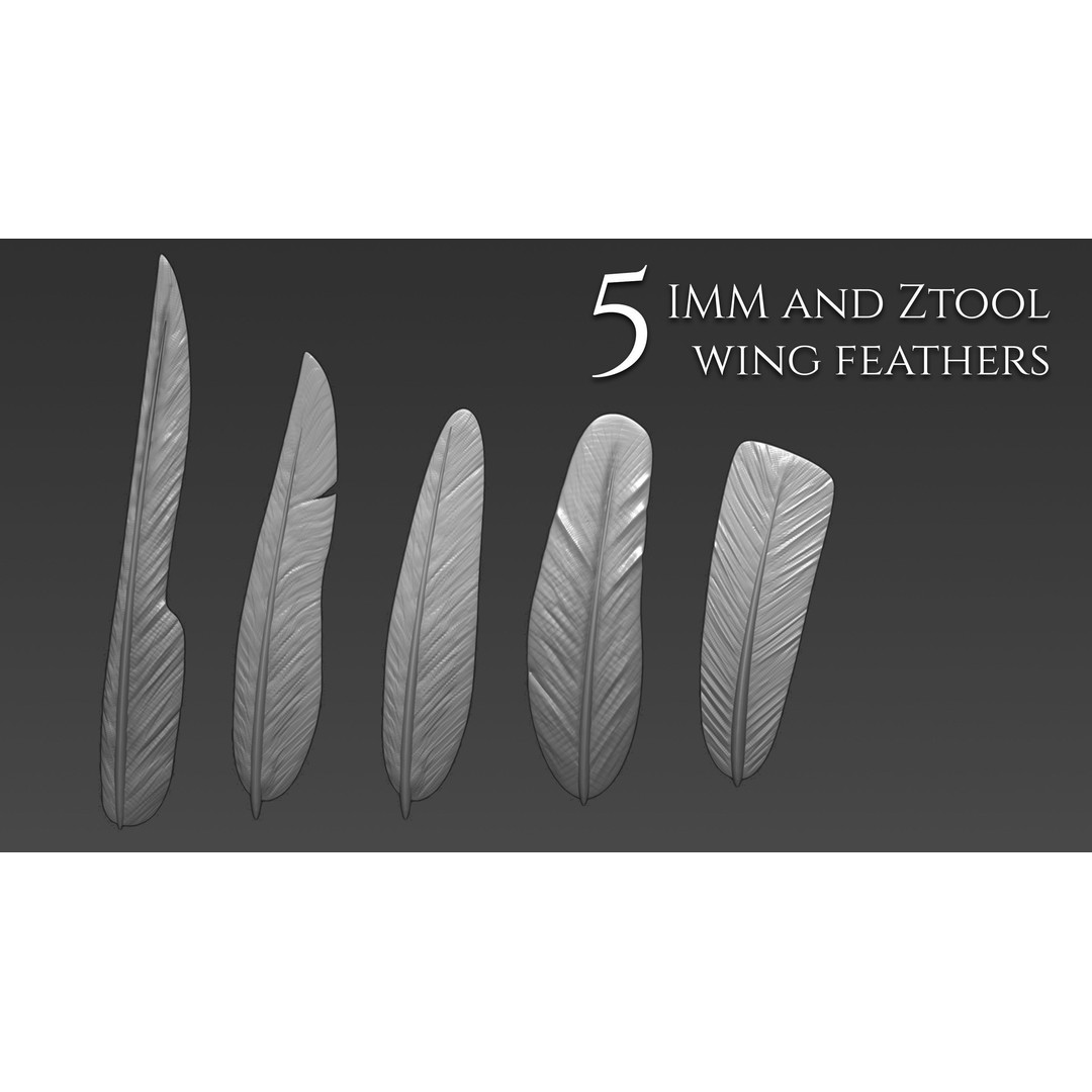 Feather Brushes 3D Model – Custom Zbrush Brushes for Creatures - View 6