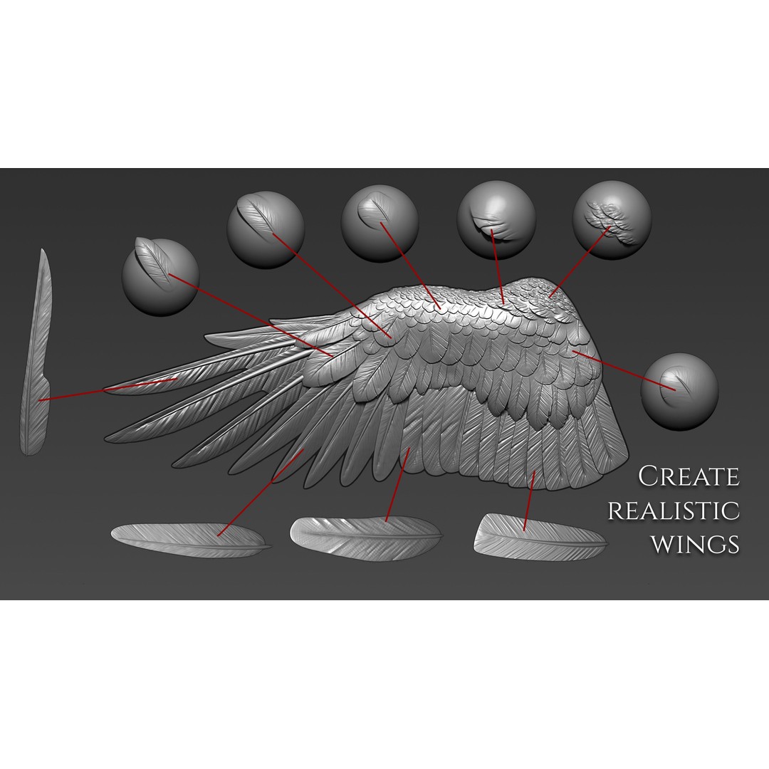 Feather Brushes 3D Model – Custom Zbrush Brushes for Creatures - View 7