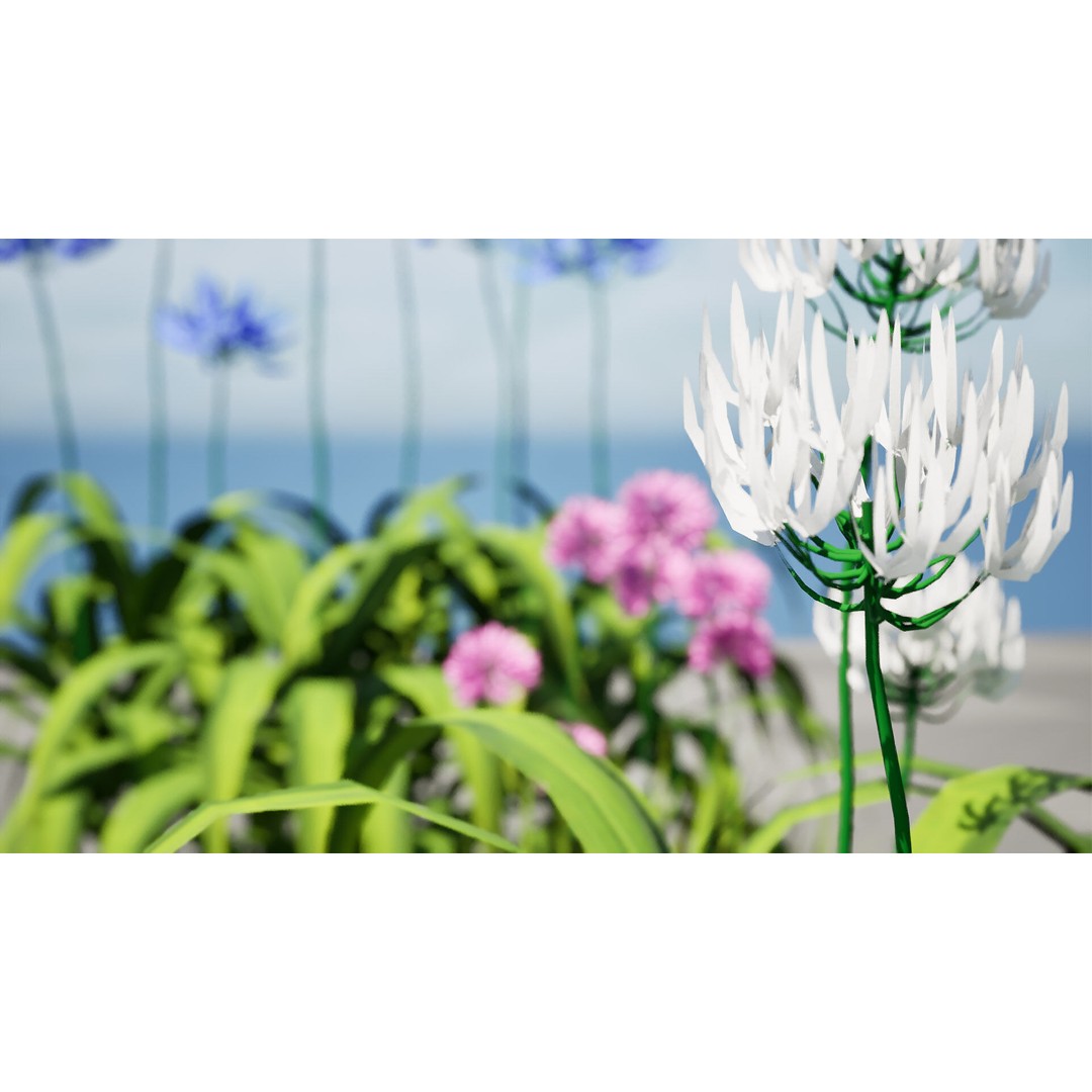 Flander Agapanthus Flowering Plants 3D Model – Low Poly PBR Asset, FBX - View 11