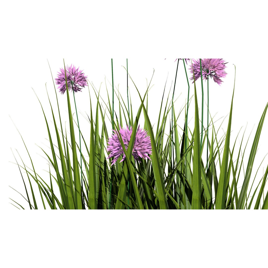 Flander Agapanthus Flowering Plants 3D Model – Low Poly PBR Asset, FBX - View 8