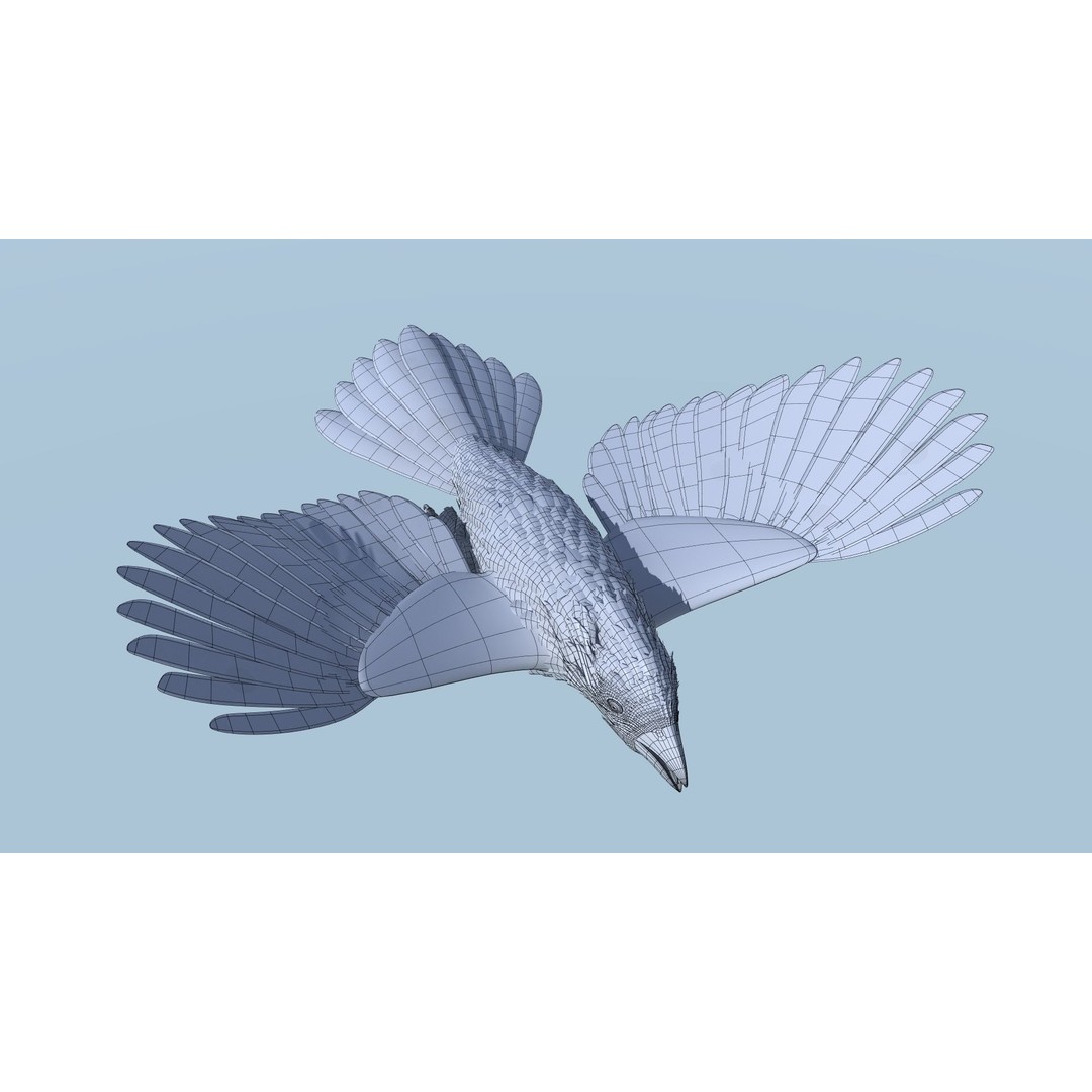Northern Cardinal 3D Model – Rigged Animated Low-Poly for Blender, FBX - View 13