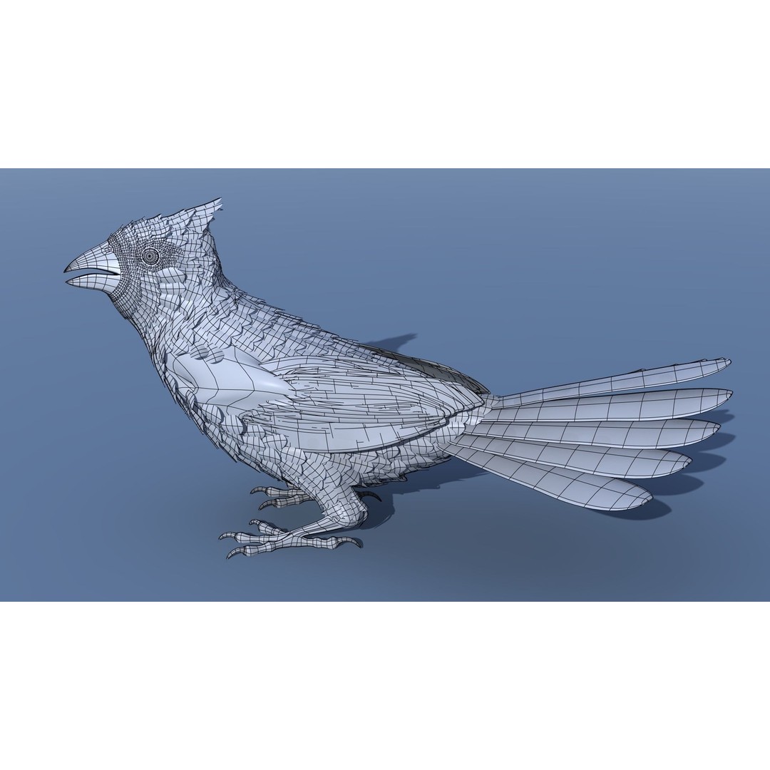 Northern Cardinal 3D Model – Rigged Animated Low-Poly for Blender, FBX - View 15