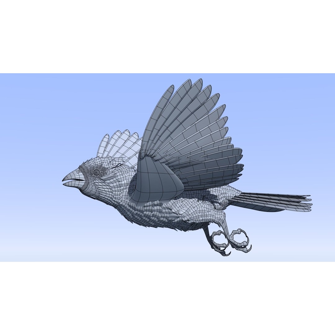 Northern Cardinal 3D Model – Rigged Animated Low-Poly for Blender, FBX - View 17