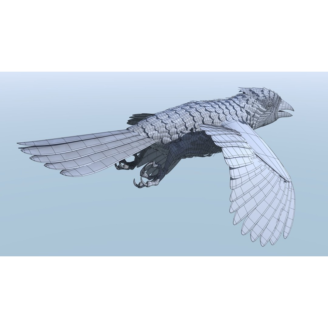 Northern Cardinal 3D Model – Rigged Animated Low-Poly for Blender, FBX - View 19