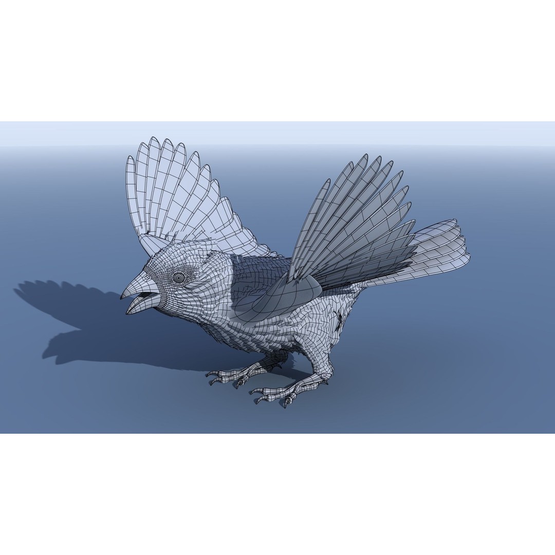 Northern Cardinal 3D Model – Rigged Animated Low-Poly for Blender, FBX - View 22