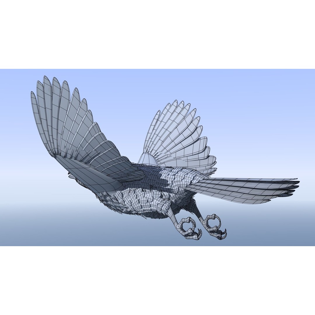 Northern Cardinal 3D Model – Rigged Animated Low-Poly for Blender, FBX - View 23