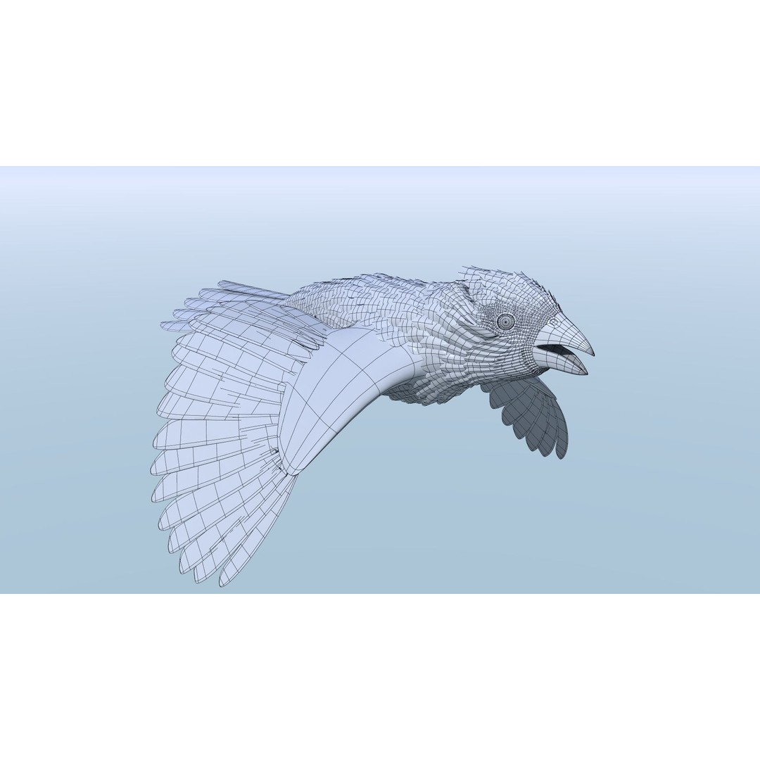 Northern Cardinal 3D Model – Rigged Animated Low-Poly for Blender, FBX - View 5