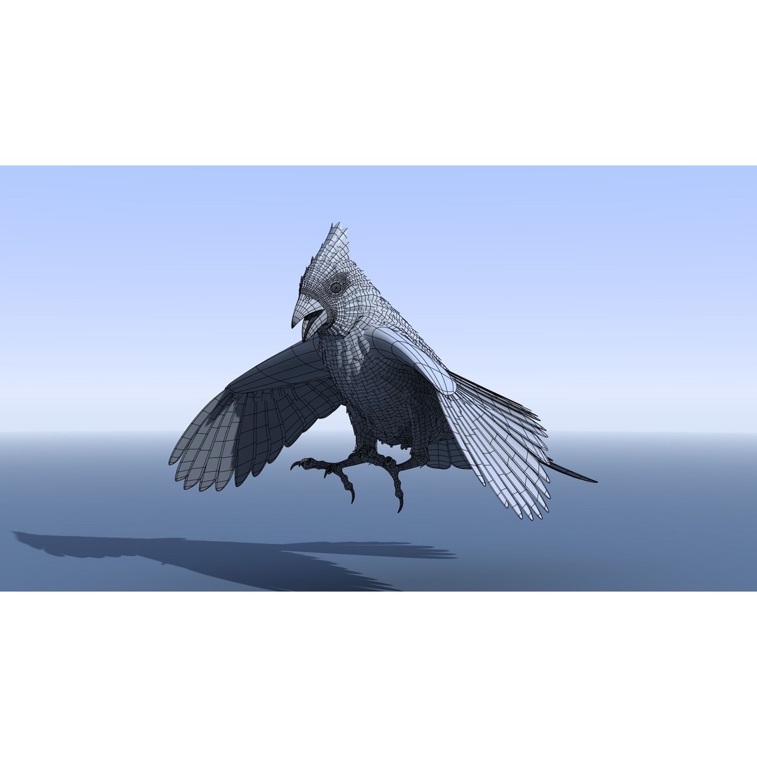 Northern Cardinal 3D Model – Rigged Animated Low-Poly for Blender, FBX - View 7
