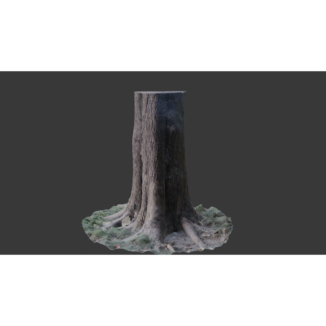 Tree Trunk 3D Model – Photorealistic Low-Poly Game Asset, FBX