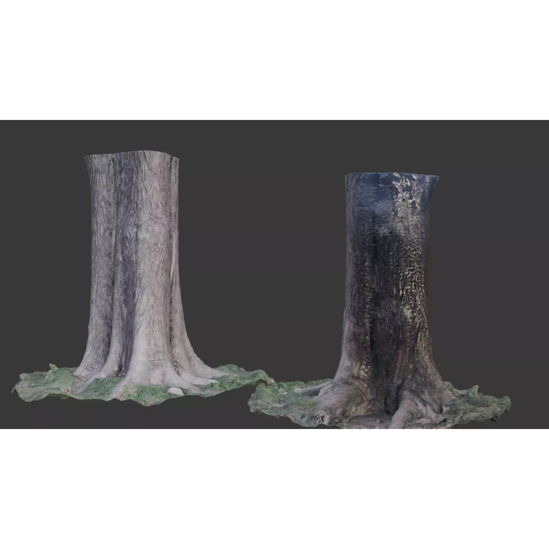 Tree Trunk 3D Model – Photorealistic Low-Poly Game Asset, FBX - View 2