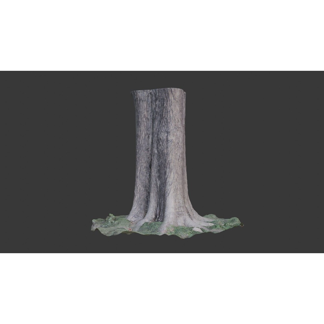 Tree Trunk 3D Model – Photorealistic Low-Poly Game Asset, FBX - View 3