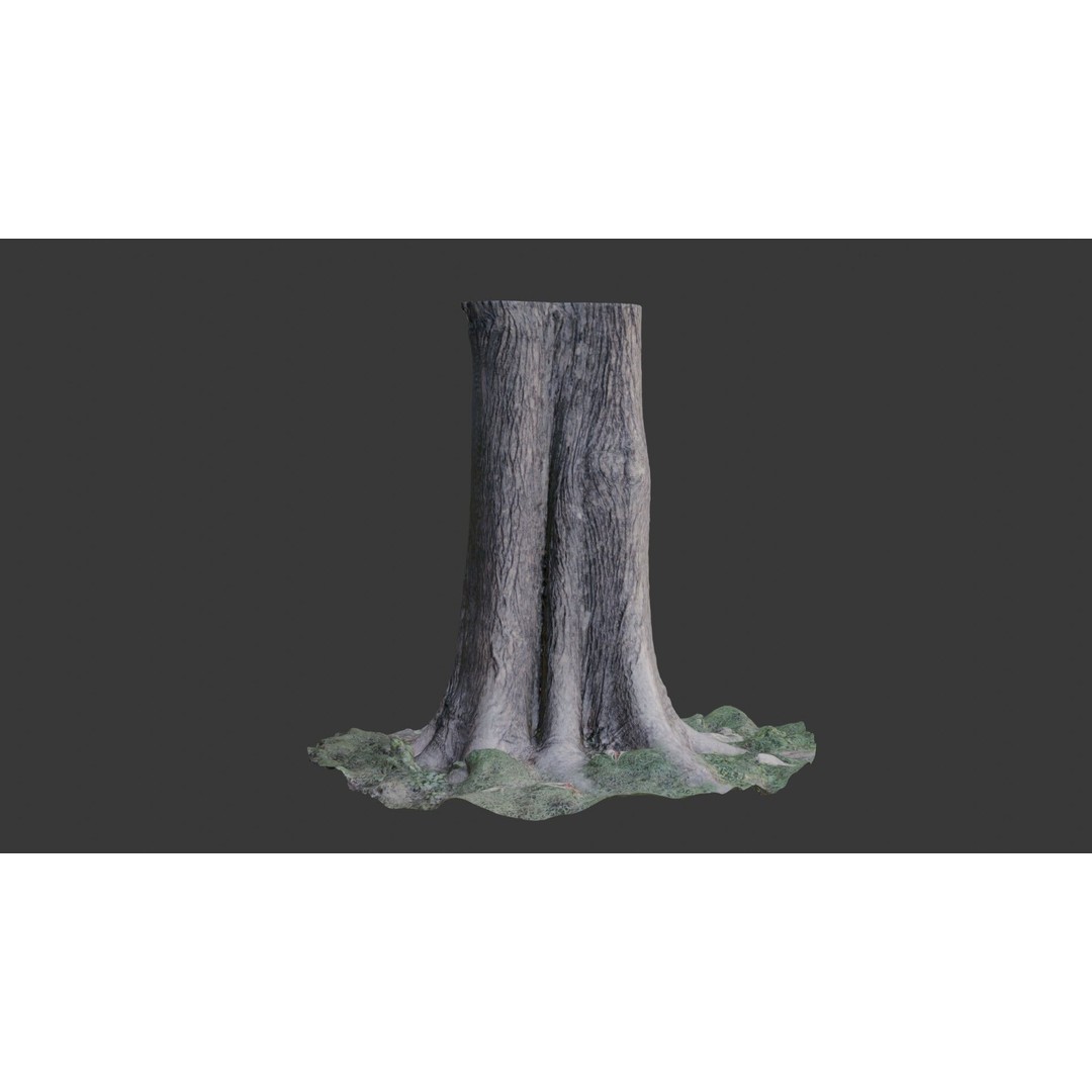Tree Trunk 3D Model – Photorealistic Low-Poly Game Asset, FBX - View 5