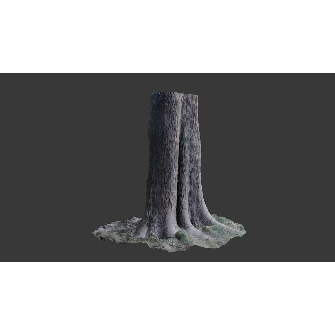 Tree Trunk 3D Model – Photorealistic Low-Poly Game Asset, FBX - View 6
