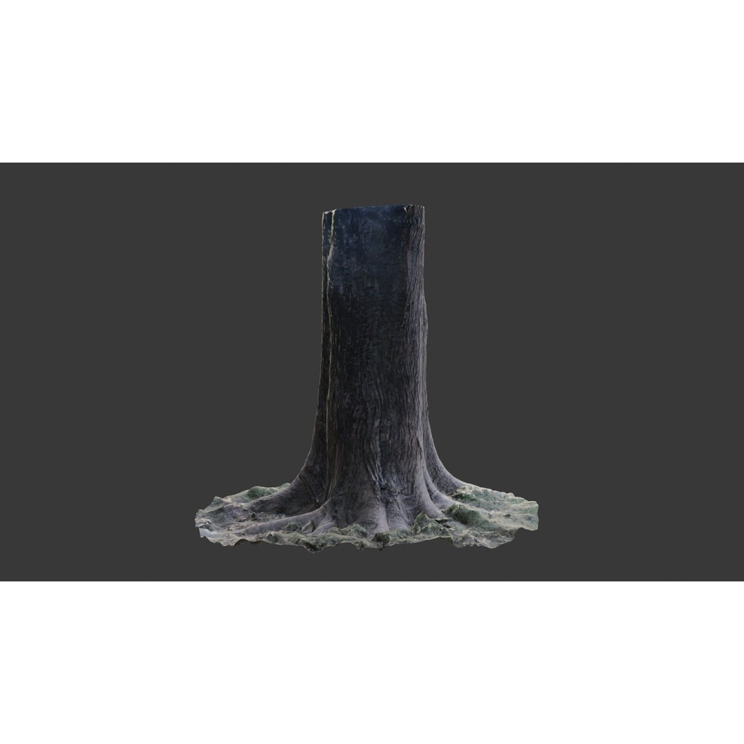 Tree Trunk 3D Model – Photorealistic Low-Poly Game Asset, FBX - View 7