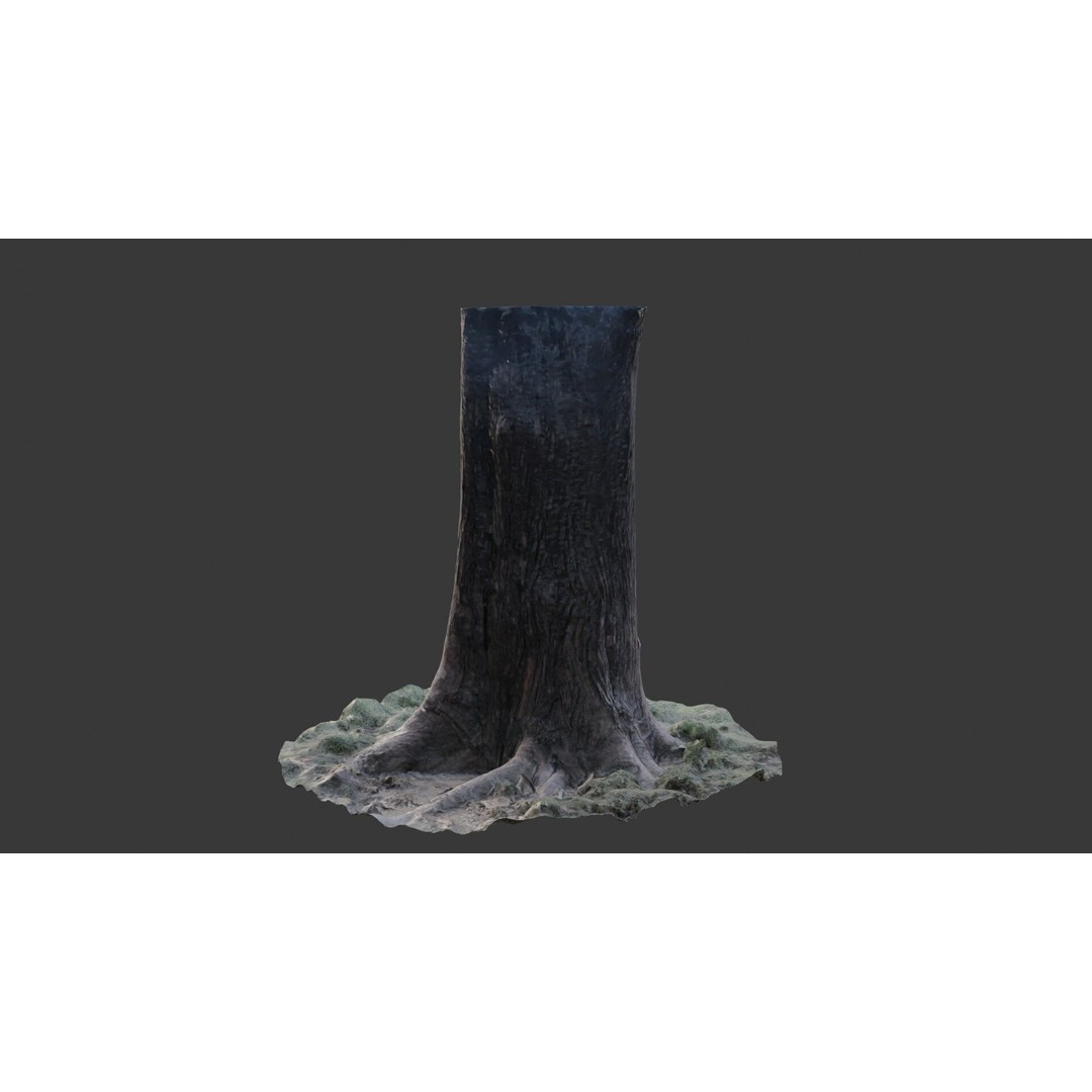 Tree Trunk 3D Model – Photorealistic Low-Poly Game Asset, FBX - View 8