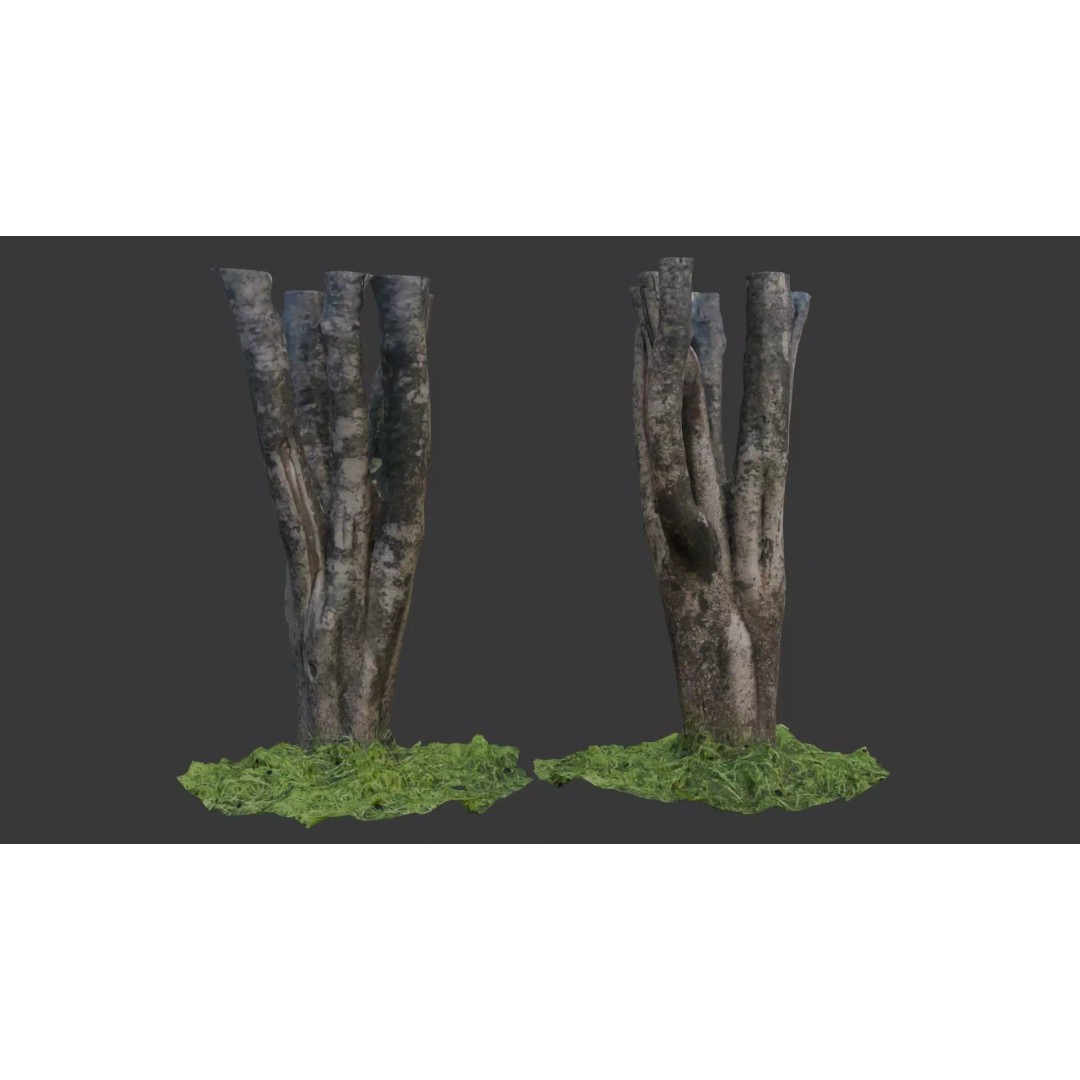 Multi-Stemmed Tree Trunk 3D Model – Low Poly Scanned Asset, Game Ready - View 2