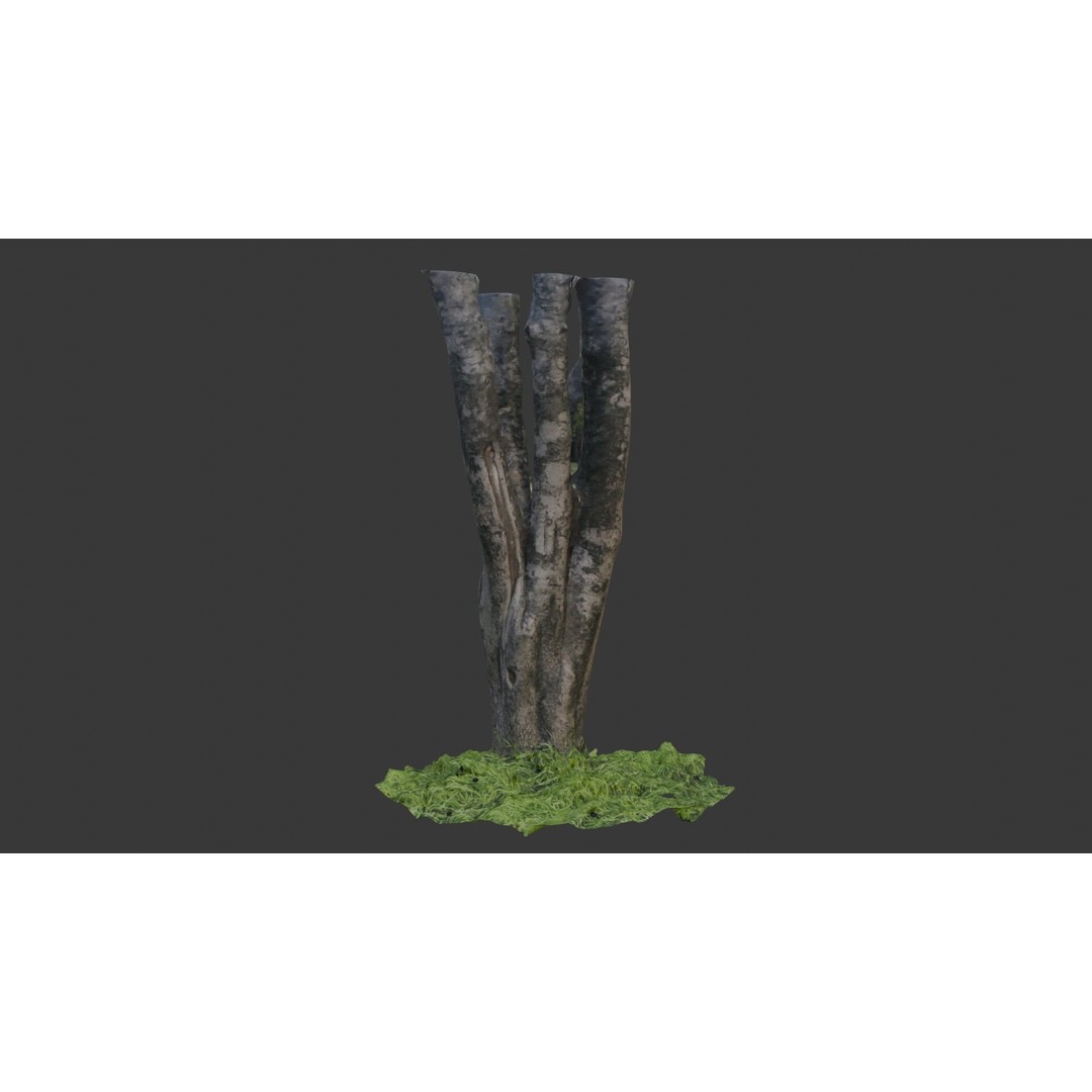 Multi-Stemmed Tree Trunk 3D Model – Low Poly Scanned Asset, Game Ready - View 3