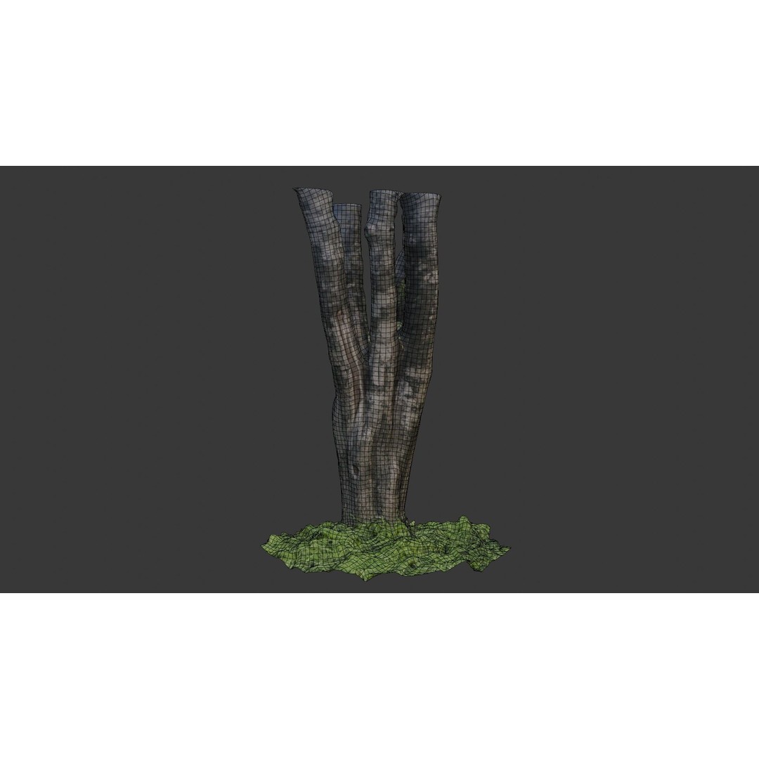 Multi-Stemmed Tree Trunk 3D Model – Low Poly Scanned Asset, Game Ready - View 4