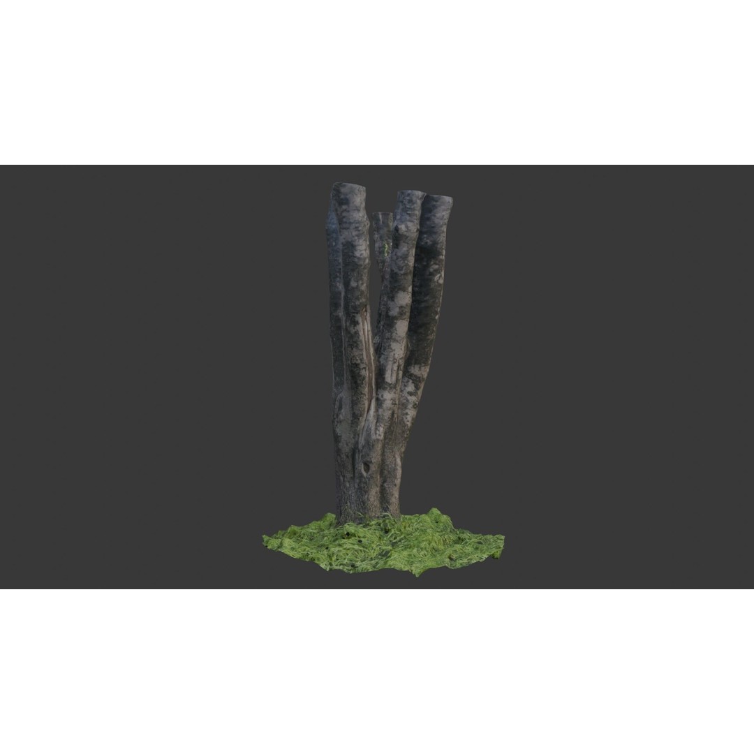 Multi-Stemmed Tree Trunk 3D Model – Low Poly Scanned Asset, Game Ready - View 5