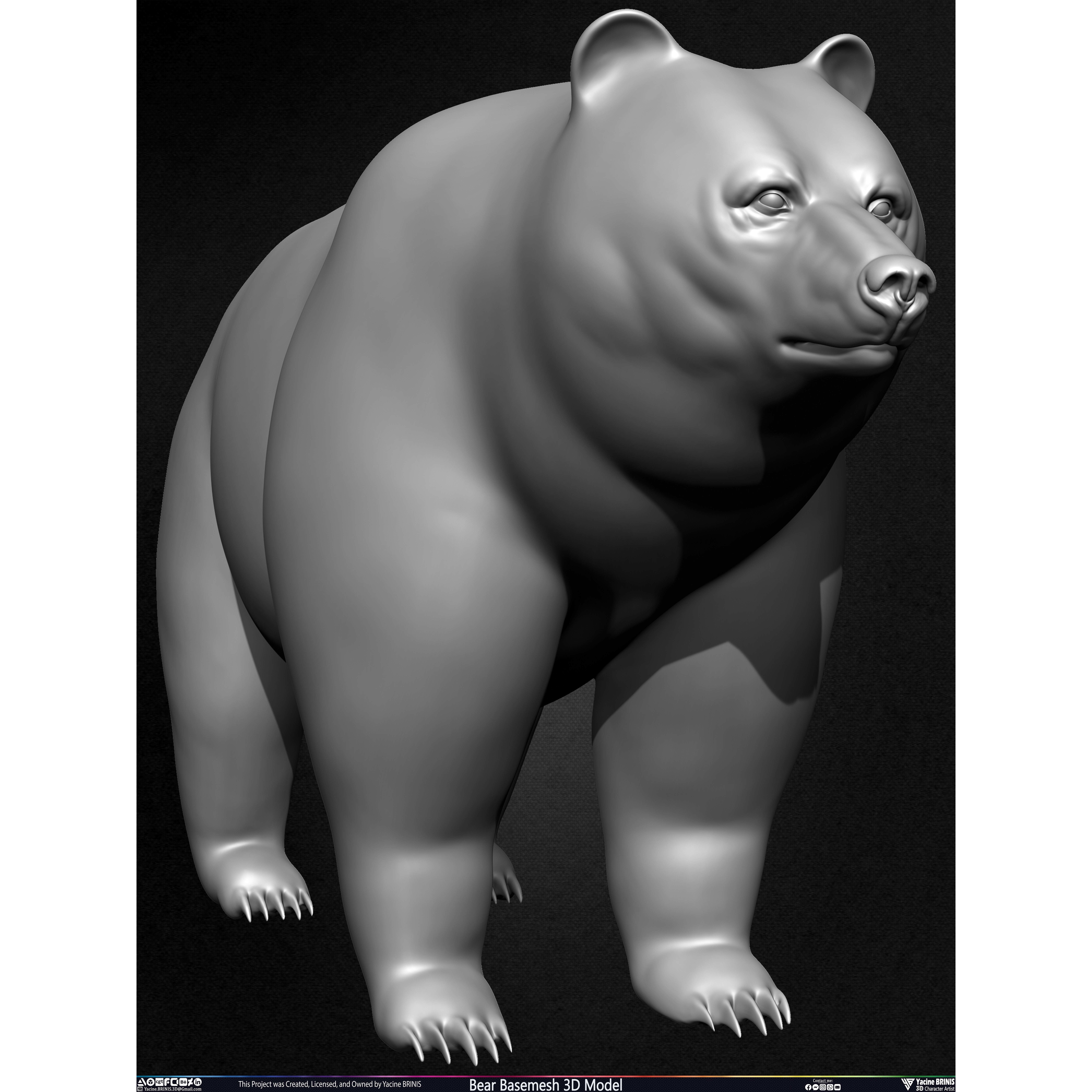 Bear Basemesh - Low-Poly Game-Ready 3D Model - View 10