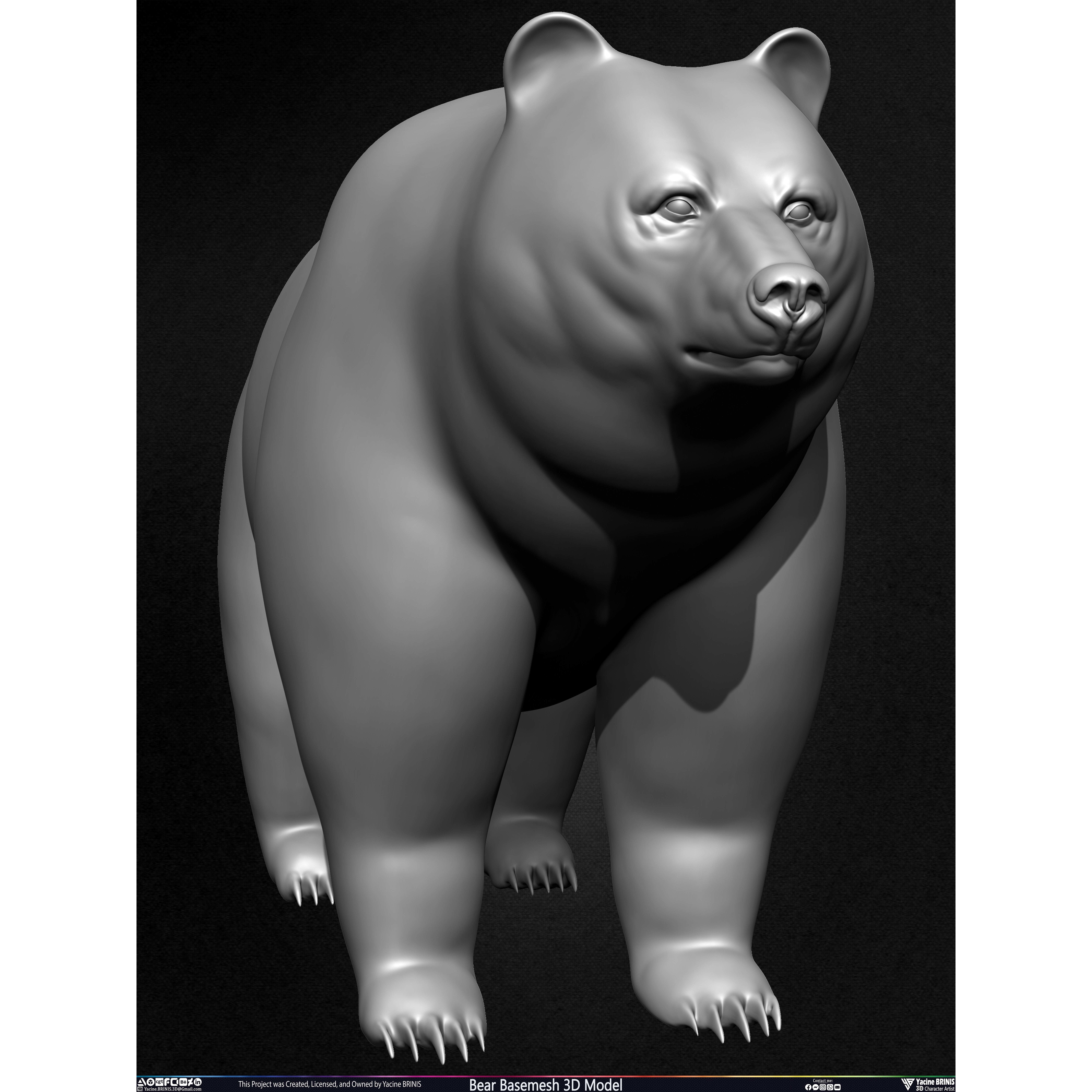 Bear Basemesh - Low-Poly Game-Ready 3D Model - View 11