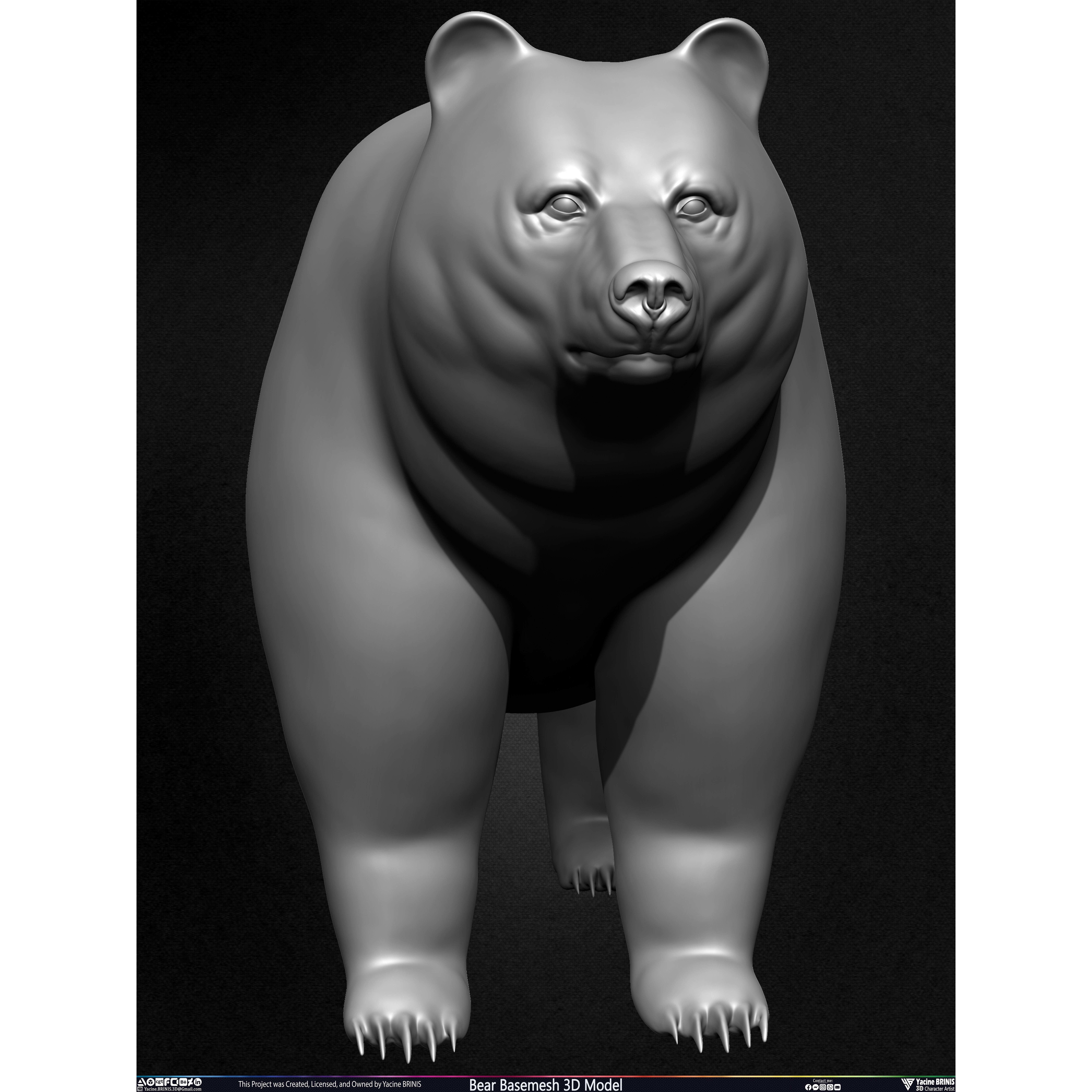 Bear Basemesh - Low-Poly Game-Ready 3D Model - View 12