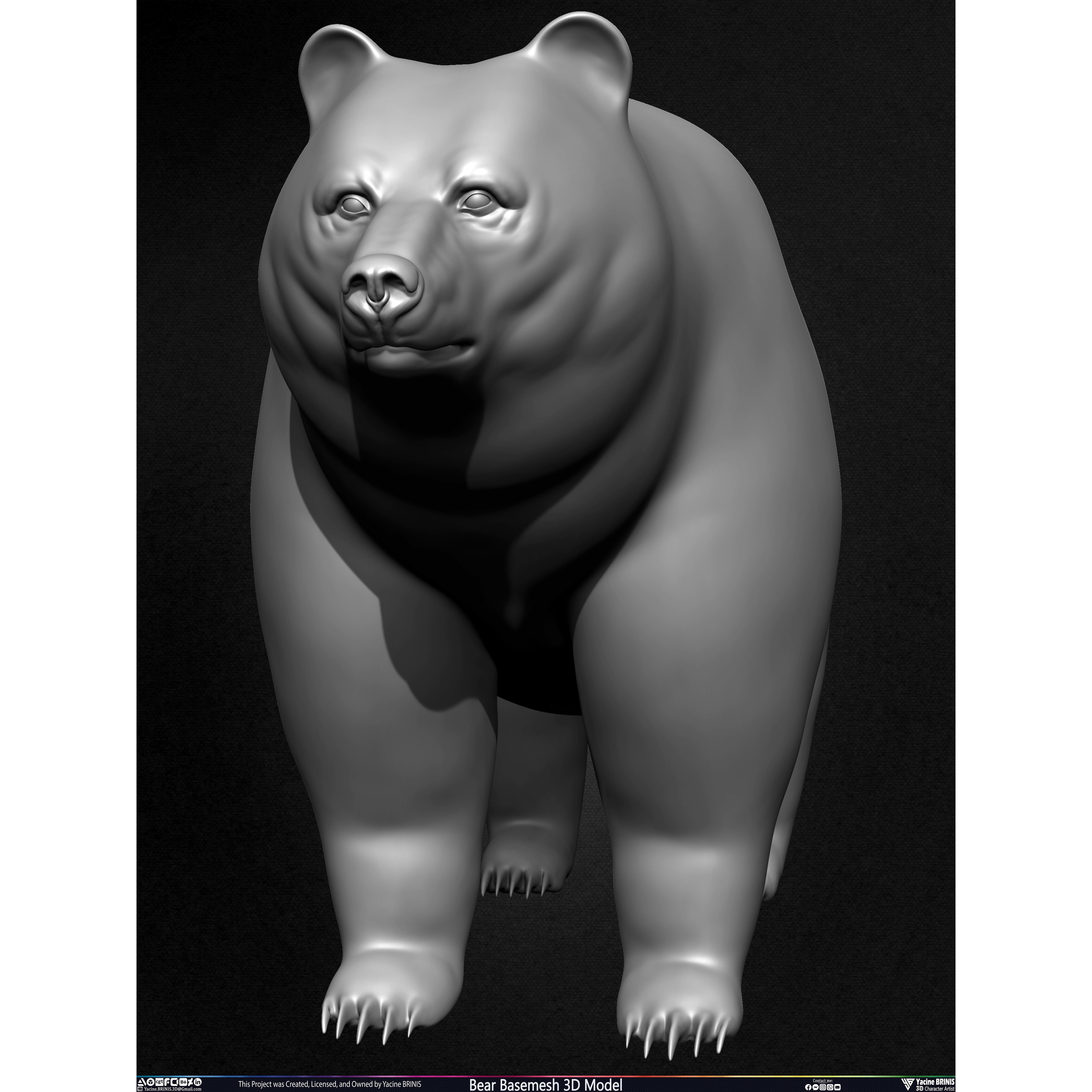 Bear Basemesh - Low-Poly Game-Ready 3D Model - View 14
