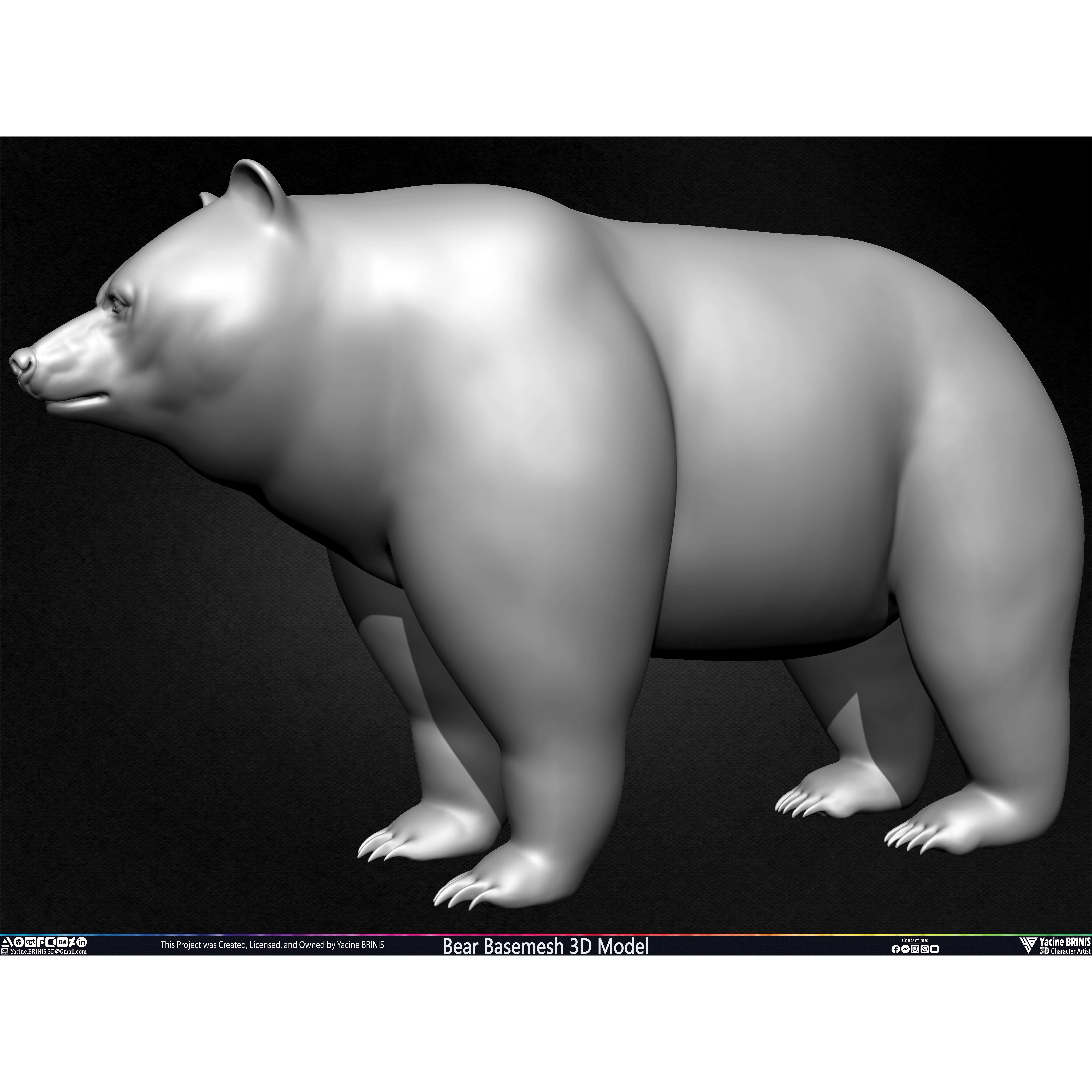 Bear Basemesh - Low-Poly Game-Ready 3D Model - View 19