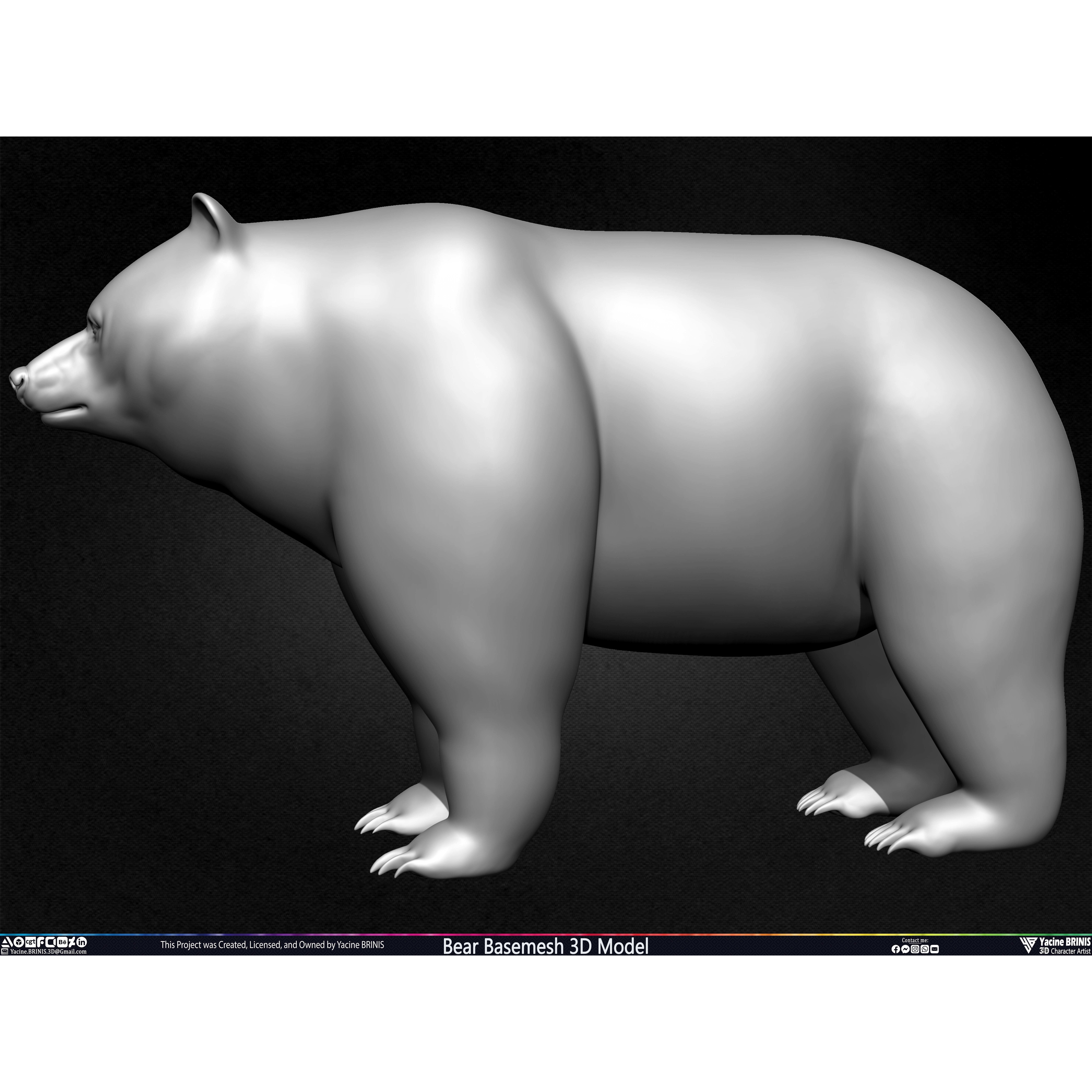 Bear Basemesh - Low-Poly Game-Ready 3D Model - View 20