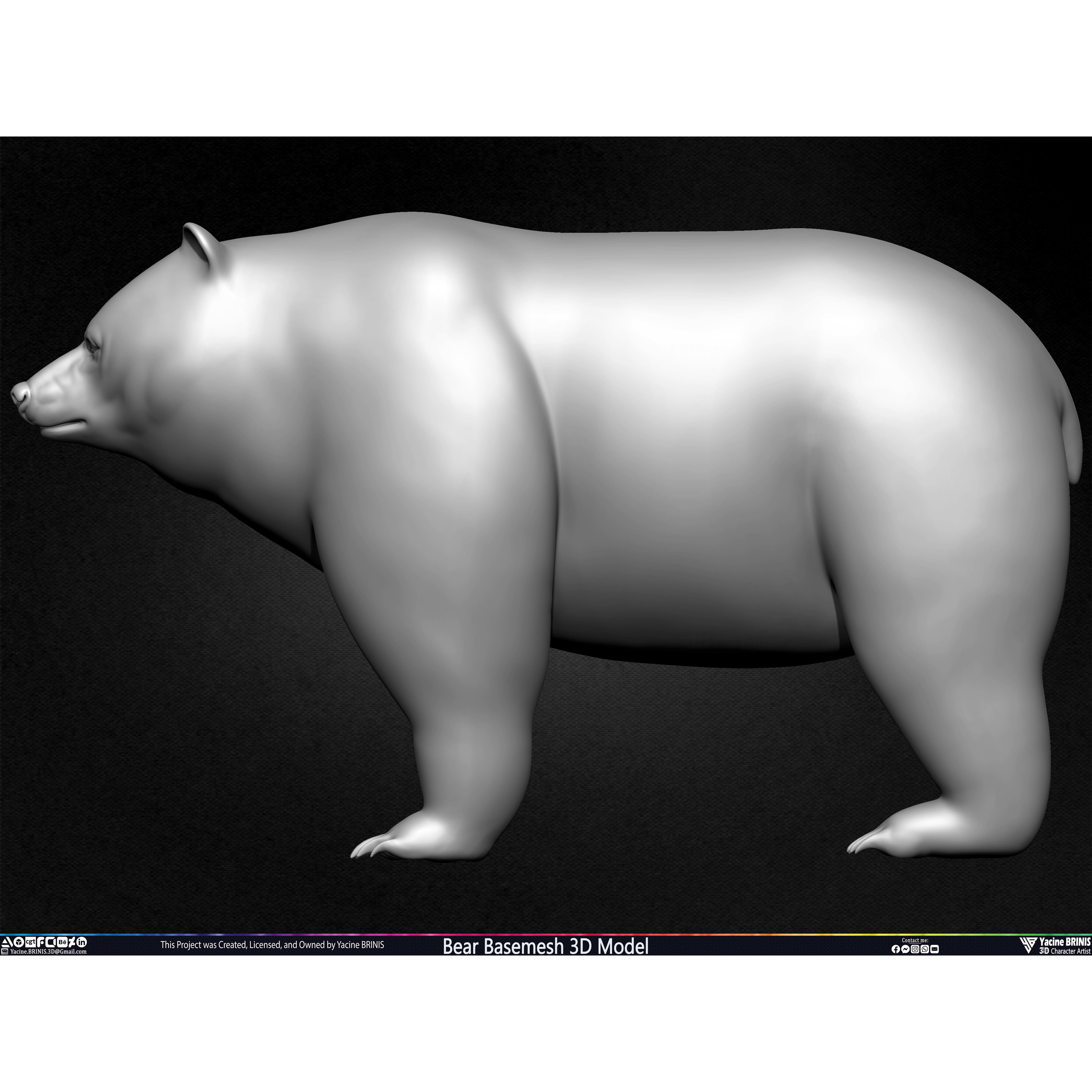 Bear Basemesh - Low-Poly Game-Ready 3D Model - View 21
