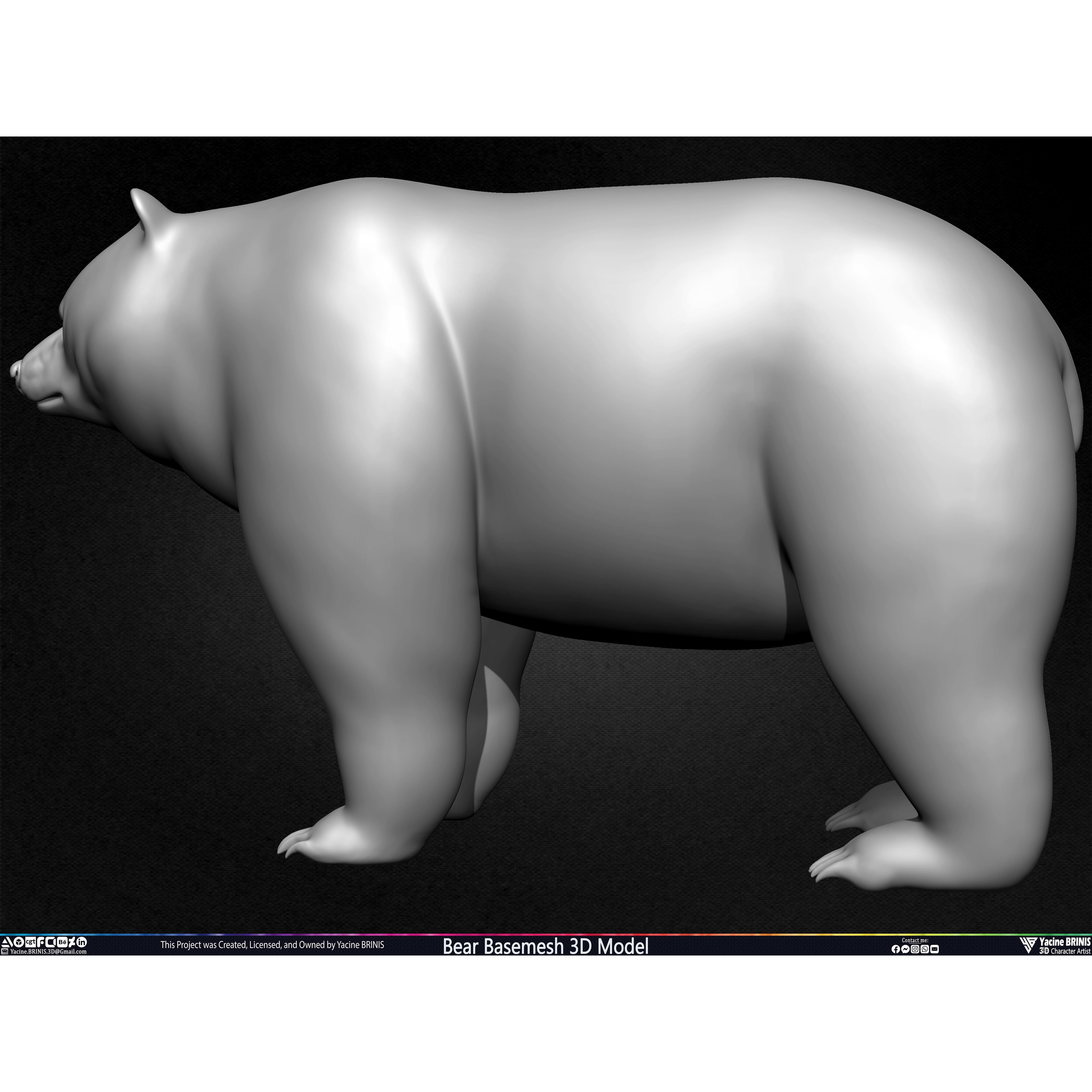 Bear Basemesh - Low-Poly Game-Ready 3D Model - View 22